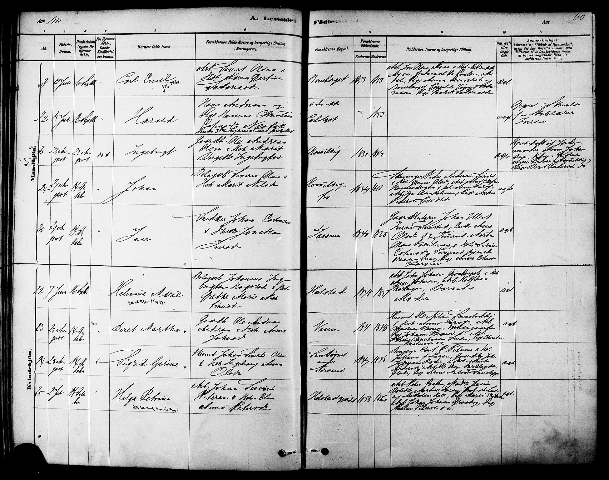 Ministerialprotokoller, klokkerbøker og fødselsregistre - Sør-Trøndelag, AV/SAT-A-1456/616/L0410: Parish register (official) no. 616A07, 1878-1893, p. 60