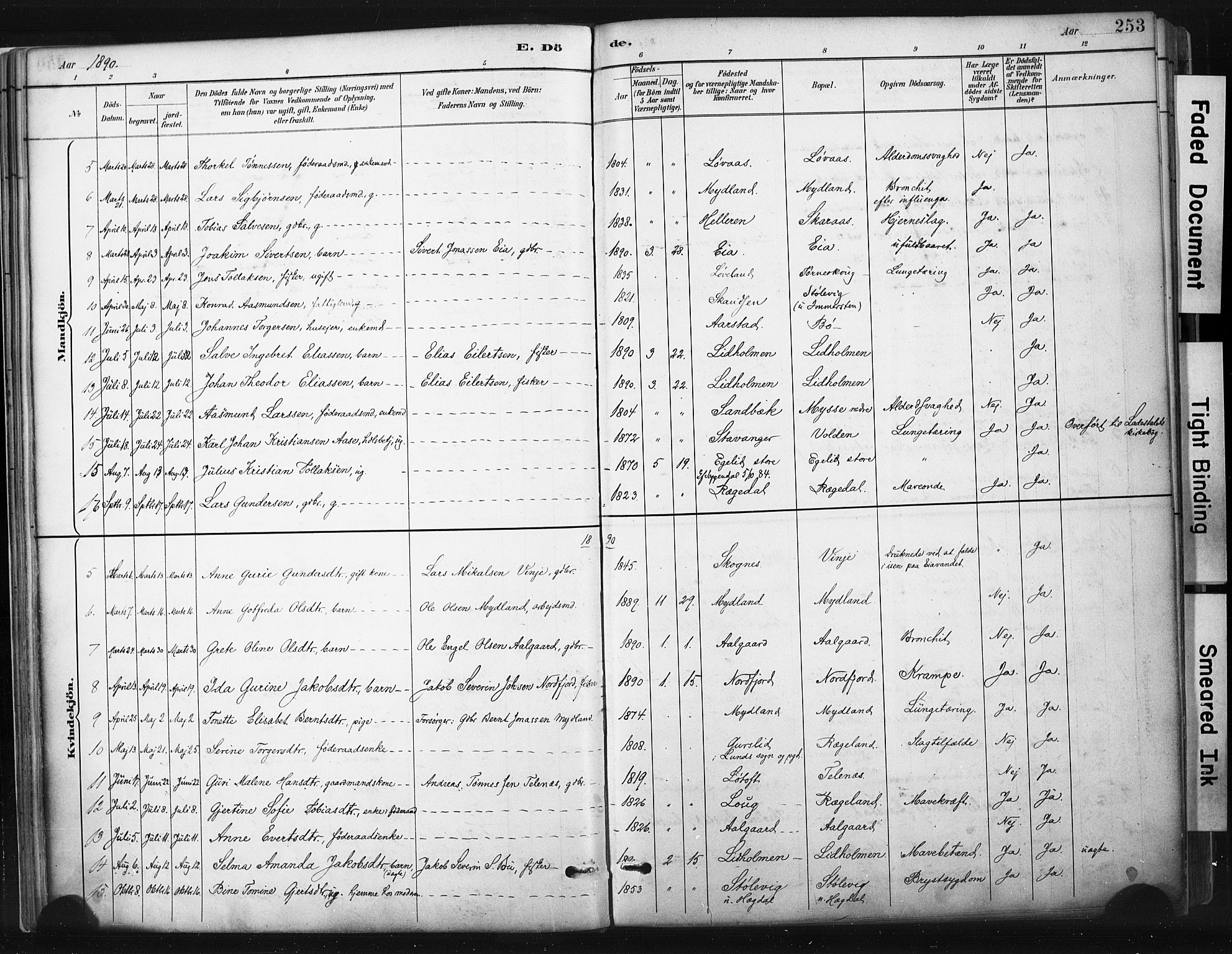 Sokndal sokneprestkontor, AV/SAST-A-101808: Parish register (official) no. A 11.2, 1887-1905, p. 253