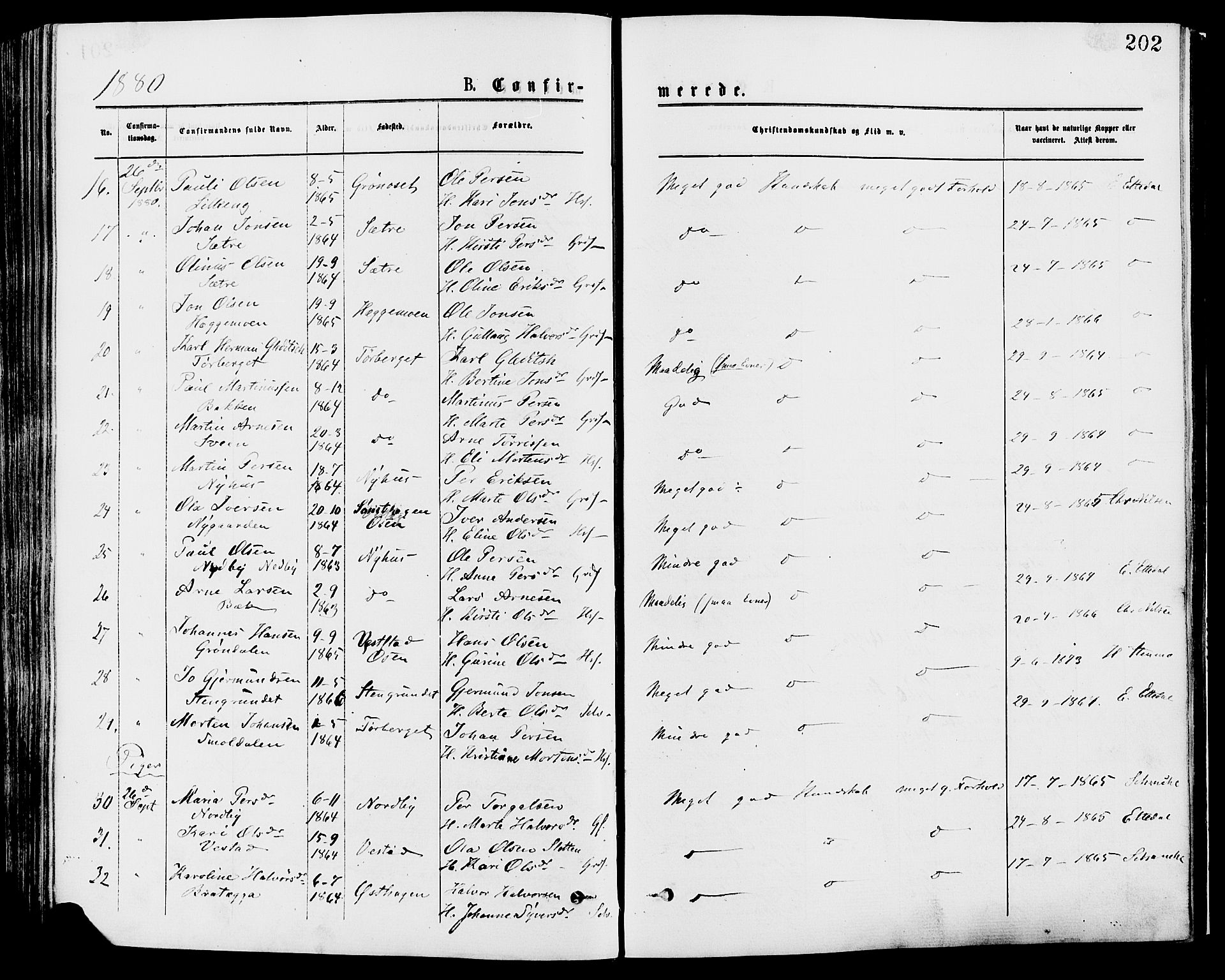 Trysil prestekontor, AV/SAH-PREST-046/H/Ha/Haa/L0007: Parish register (official) no. 7, 1874-1880, p. 202