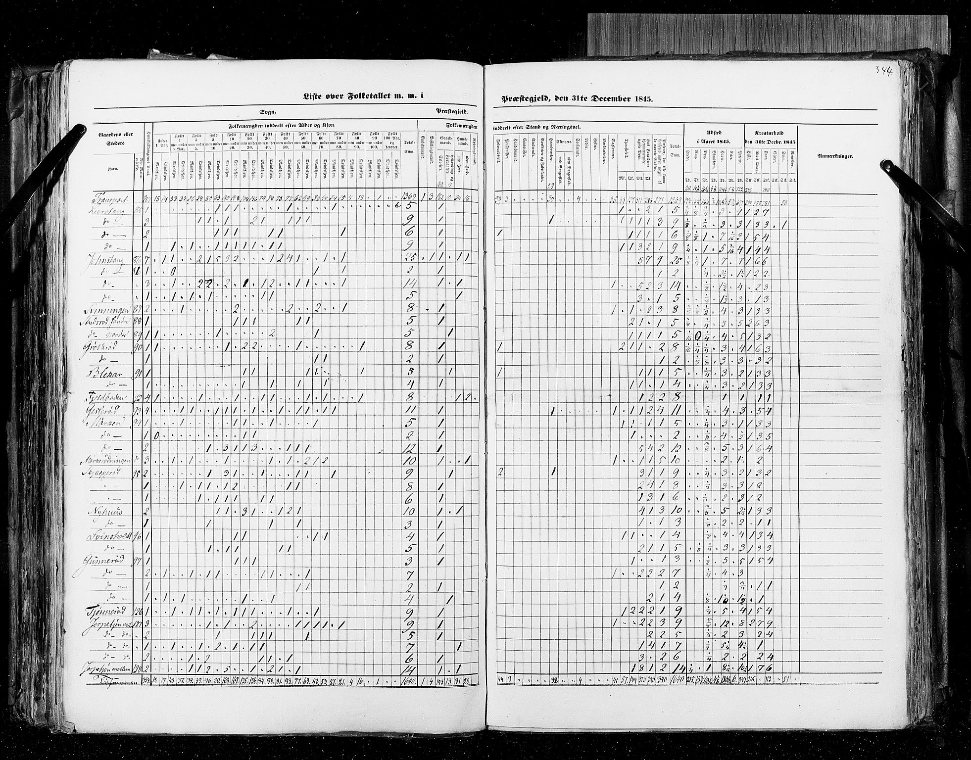 RA, Census 1845, vol. 4: Buskerud amt og Jarlsberg og Larvik amt, 1845, p. 344