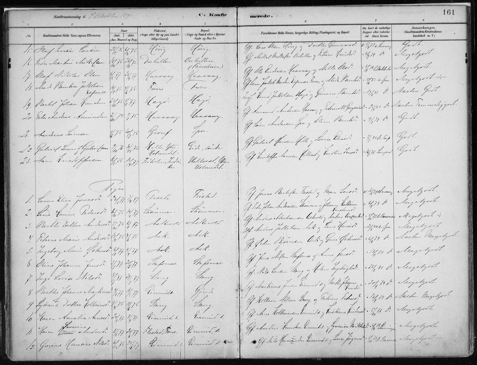 Askvoll sokneprestembete, AV/SAB-A-79501/H/Haa/Haab/L0002: Parish register (official) no. B 2, 1879-1909, p. 161