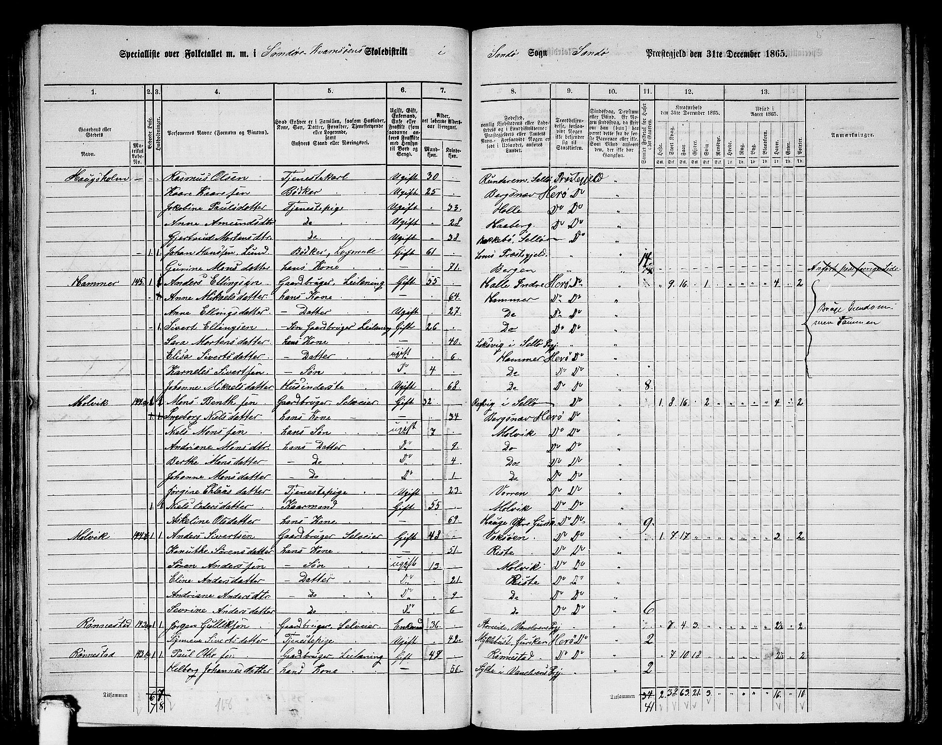 RA, 1865 census for Herøy, 1865, p. 146