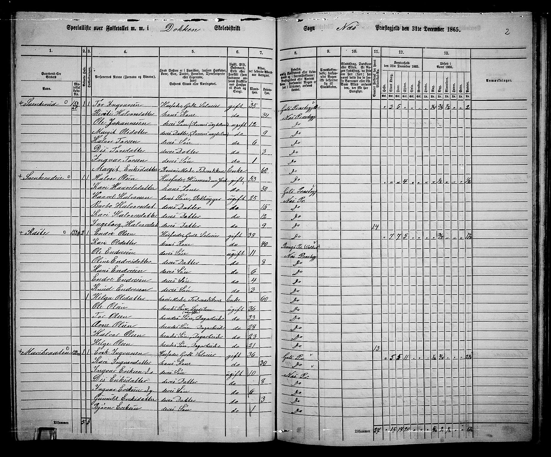 RA, 1865 census for Nes, 1865, p. 141