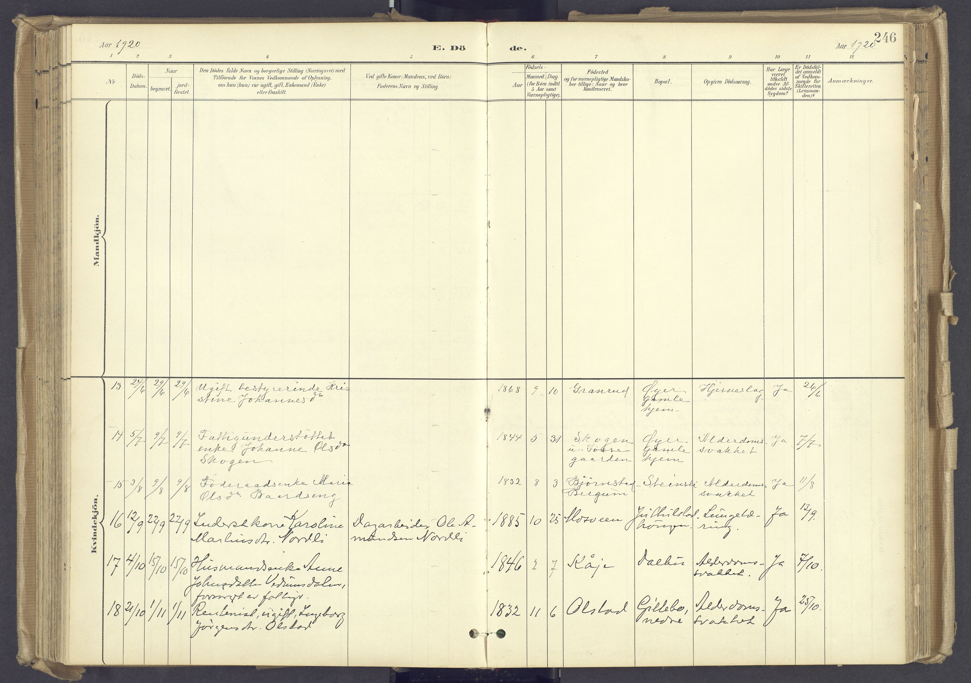 Øyer prestekontor, AV/SAH-PREST-084/H/Ha/Haa/L0012: Parish register (official) no. 12, 1897-1920, p. 246