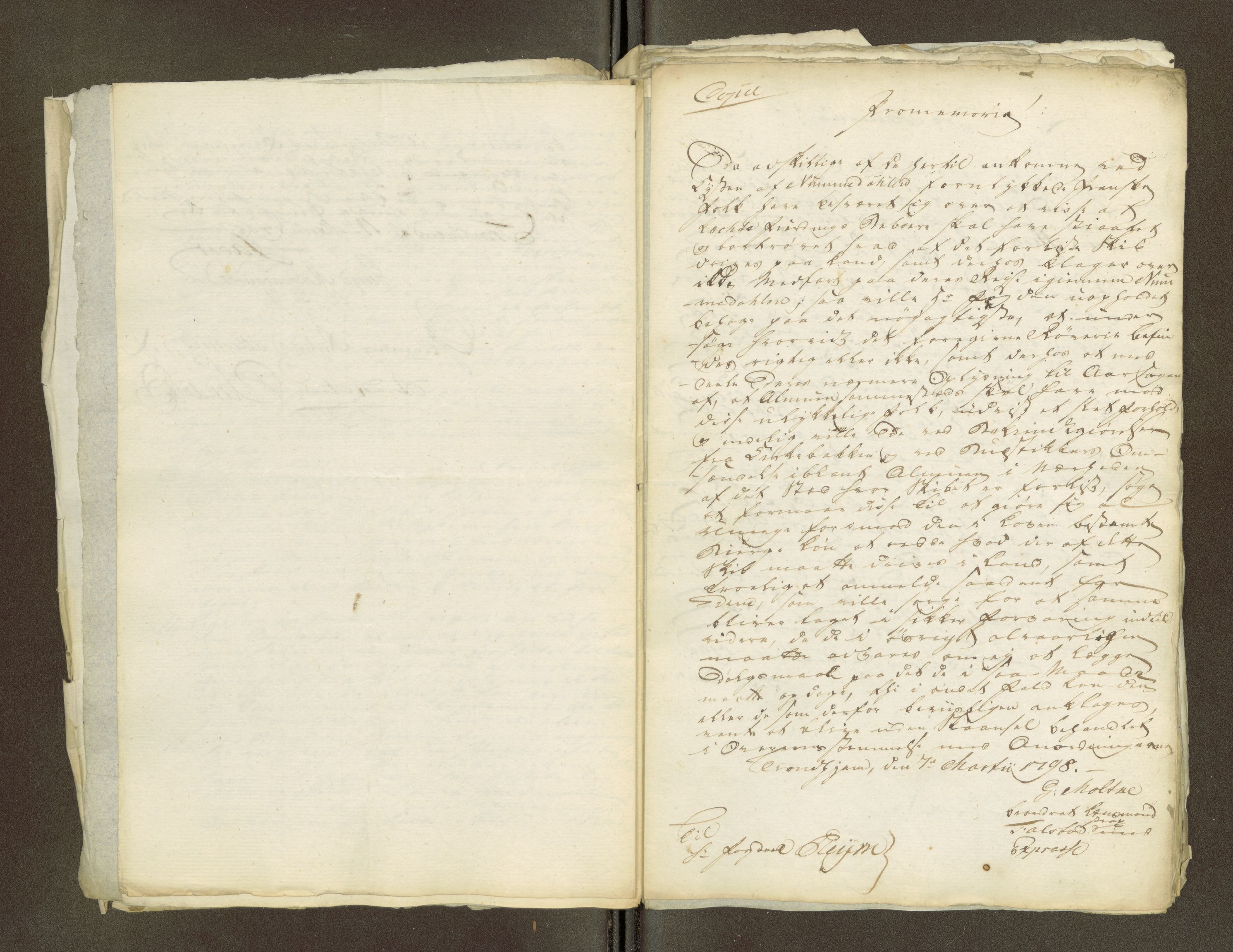 Namdal sorenskriveri, AV/SAT-A-4133/1/1/1O/1Oa/L0007: Sivile og offentlige saker, 1798, p. 216