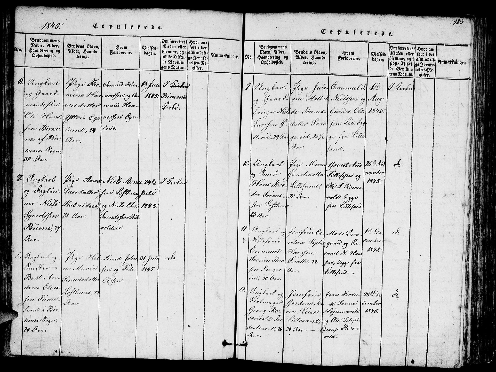 Vestre Moland sokneprestkontor, AV/SAK-1111-0046/F/Fb/Fbb/L0001: Parish register (copy) no. B 1, 1816-1851, p. 213