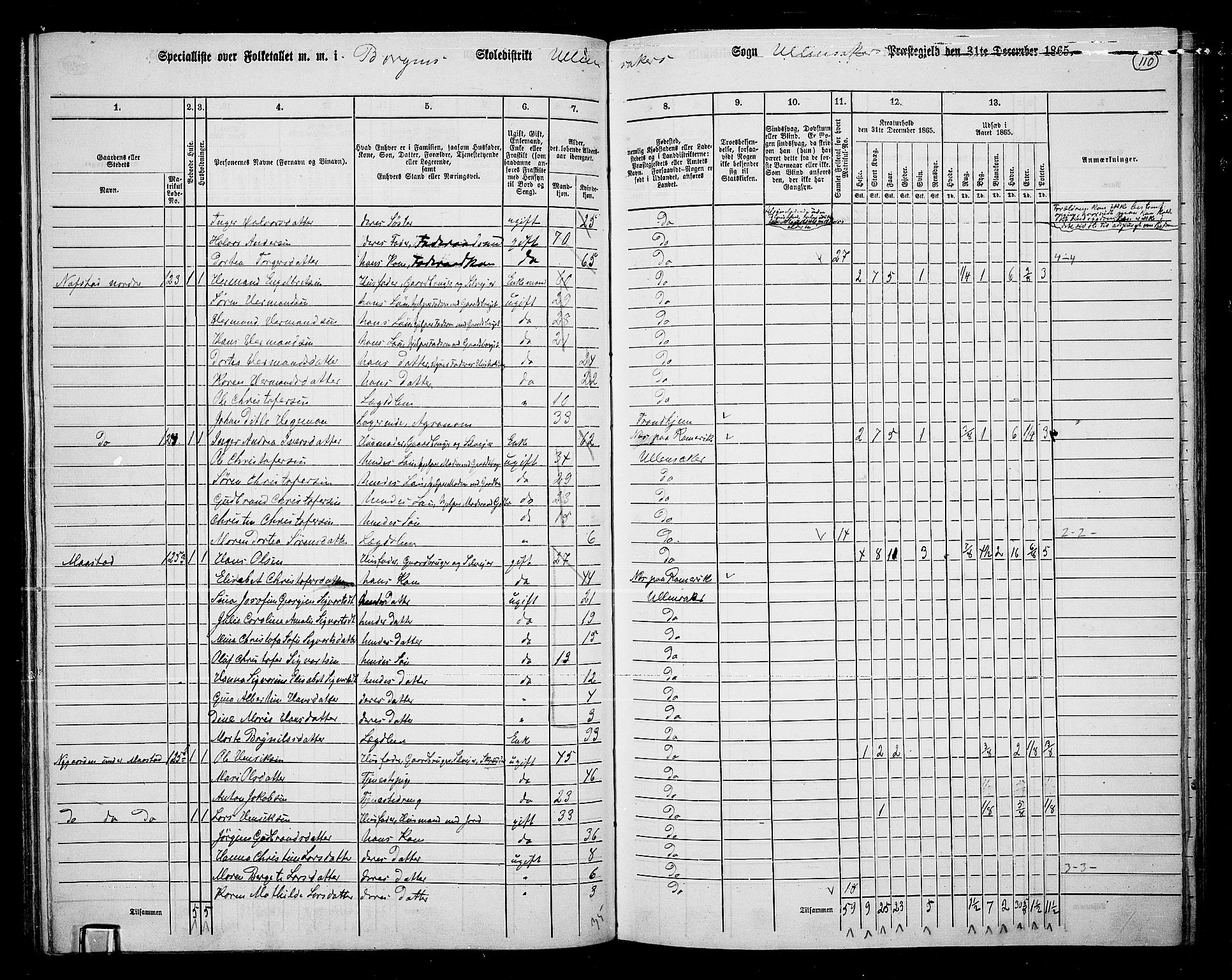 RA, 1865 census for Ullensaker, 1865, p. 96