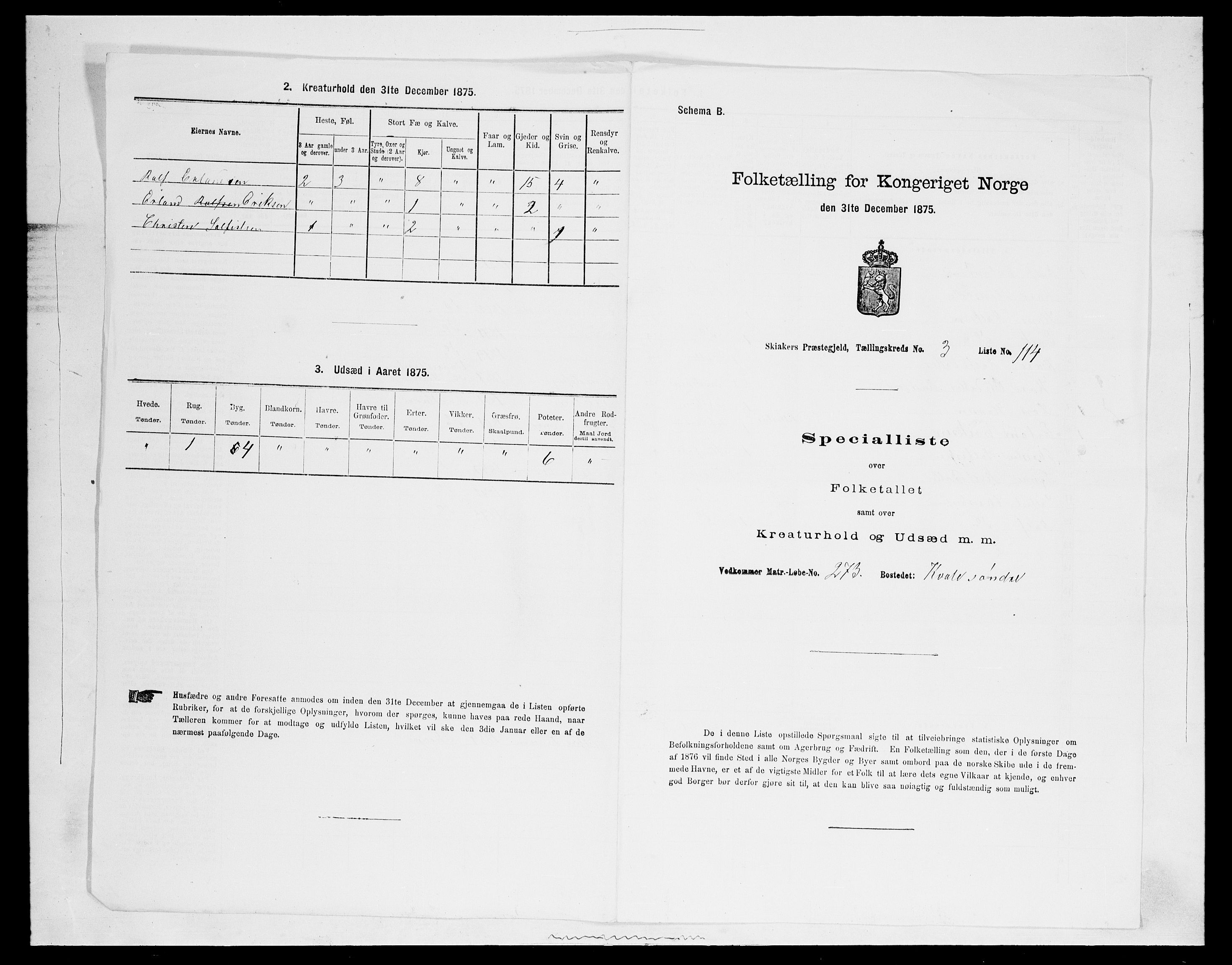 SAH, 1875 census for 0513P Skjåk, 1875, p. 528