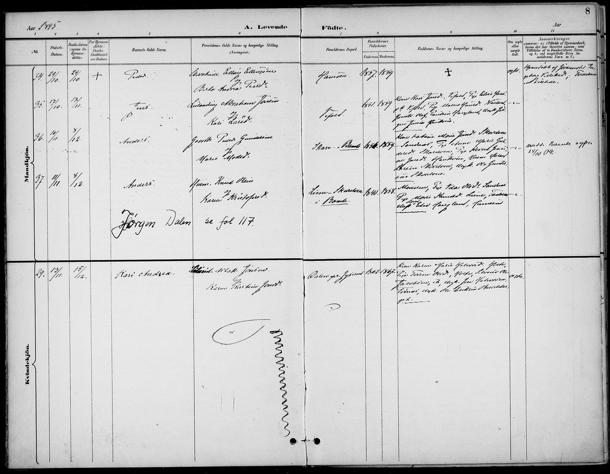 Drangedal kirkebøker, SAKO/A-258/F/Fa/L0012: Parish register (official) no. 12, 1895-1905, p. 8