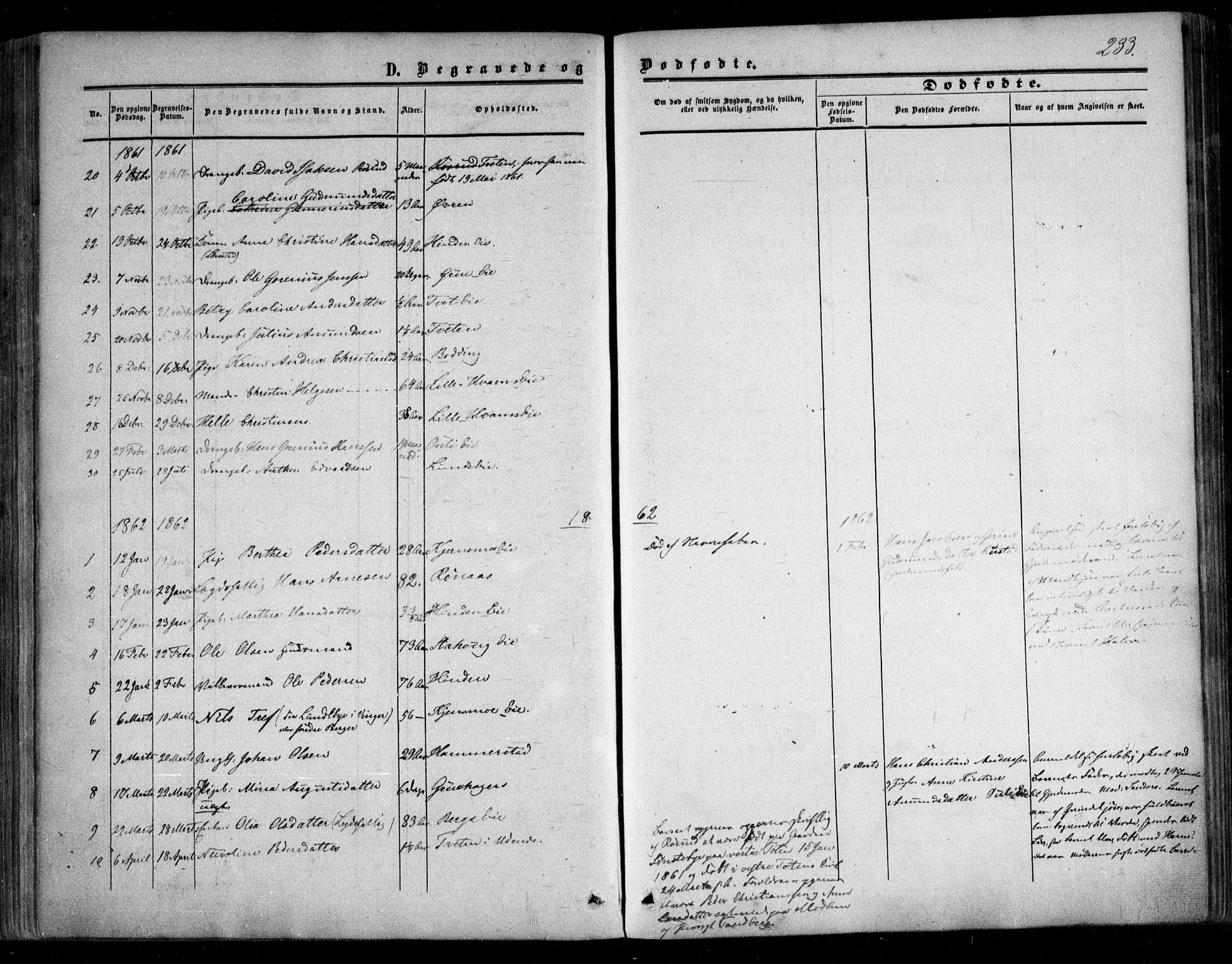 Nes prestekontor Kirkebøker, AV/SAO-A-10410/F/Fc/L0001: Parish register (official) no. III 1, 1859-1882, p. 233