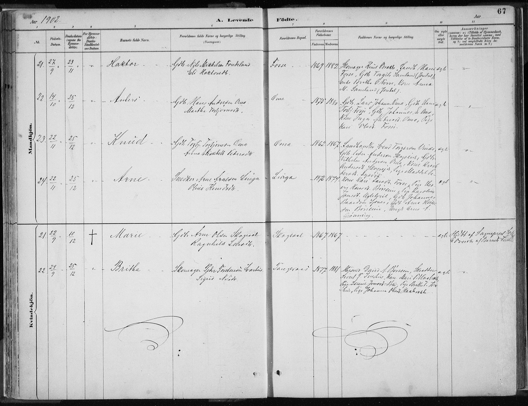 Strandebarm sokneprestembete, AV/SAB-A-78401/H/Haa: Parish register (official) no. B  1, 1886-1908, p. 67