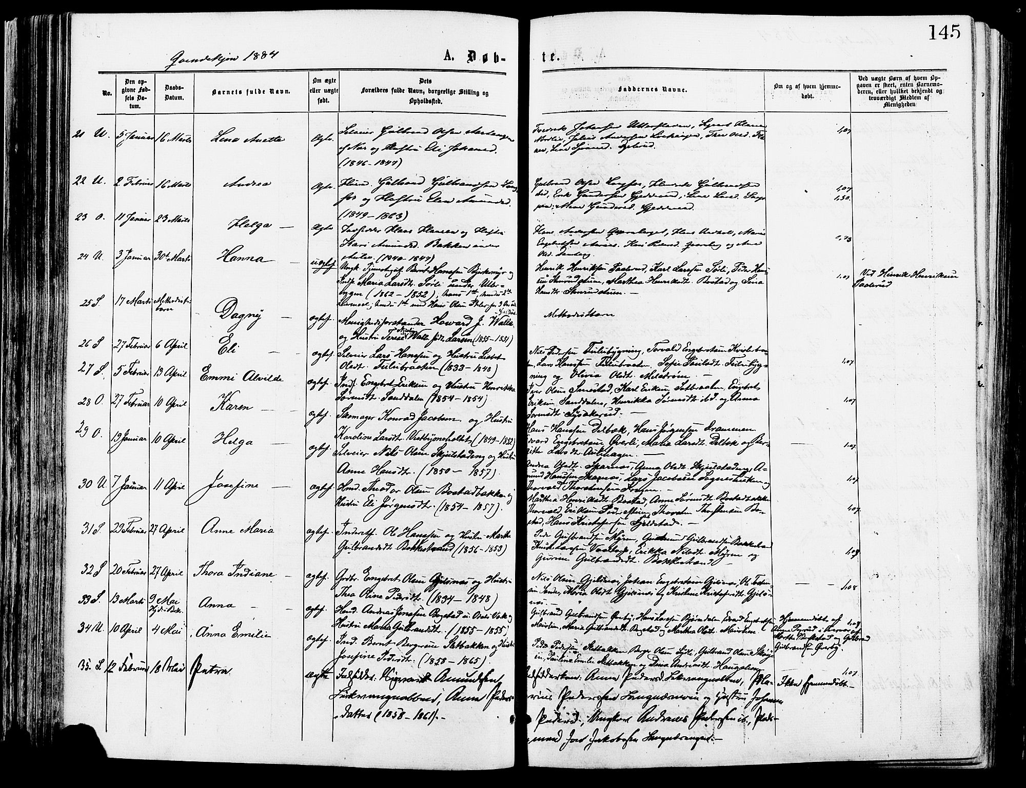 Sør-Odal prestekontor, AV/SAH-PREST-030/H/Ha/Haa/L0005: Parish register (official) no. 5, 1876-1885, p. 145