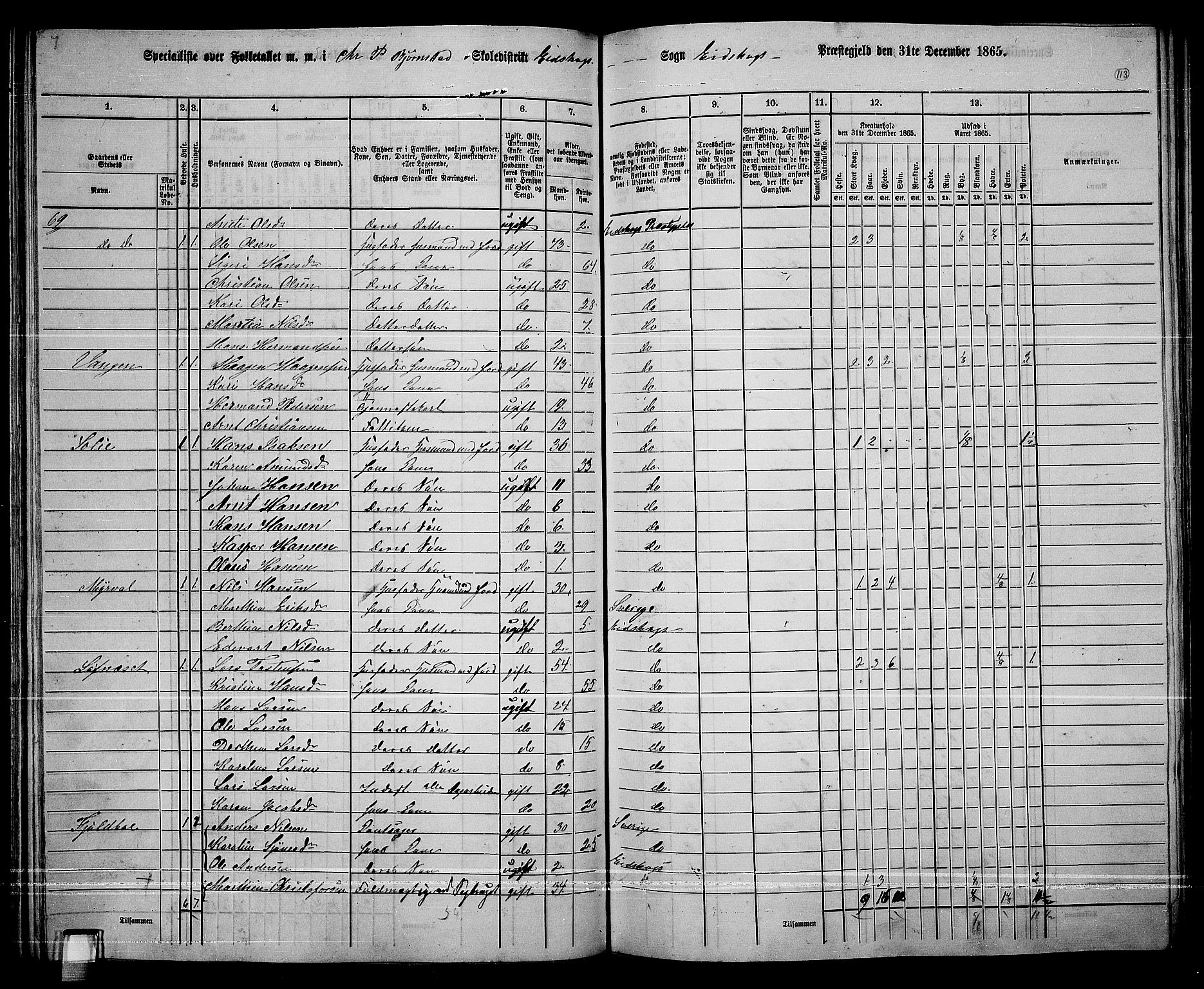 RA, 1865 census for Eidskog, 1865, p. 100