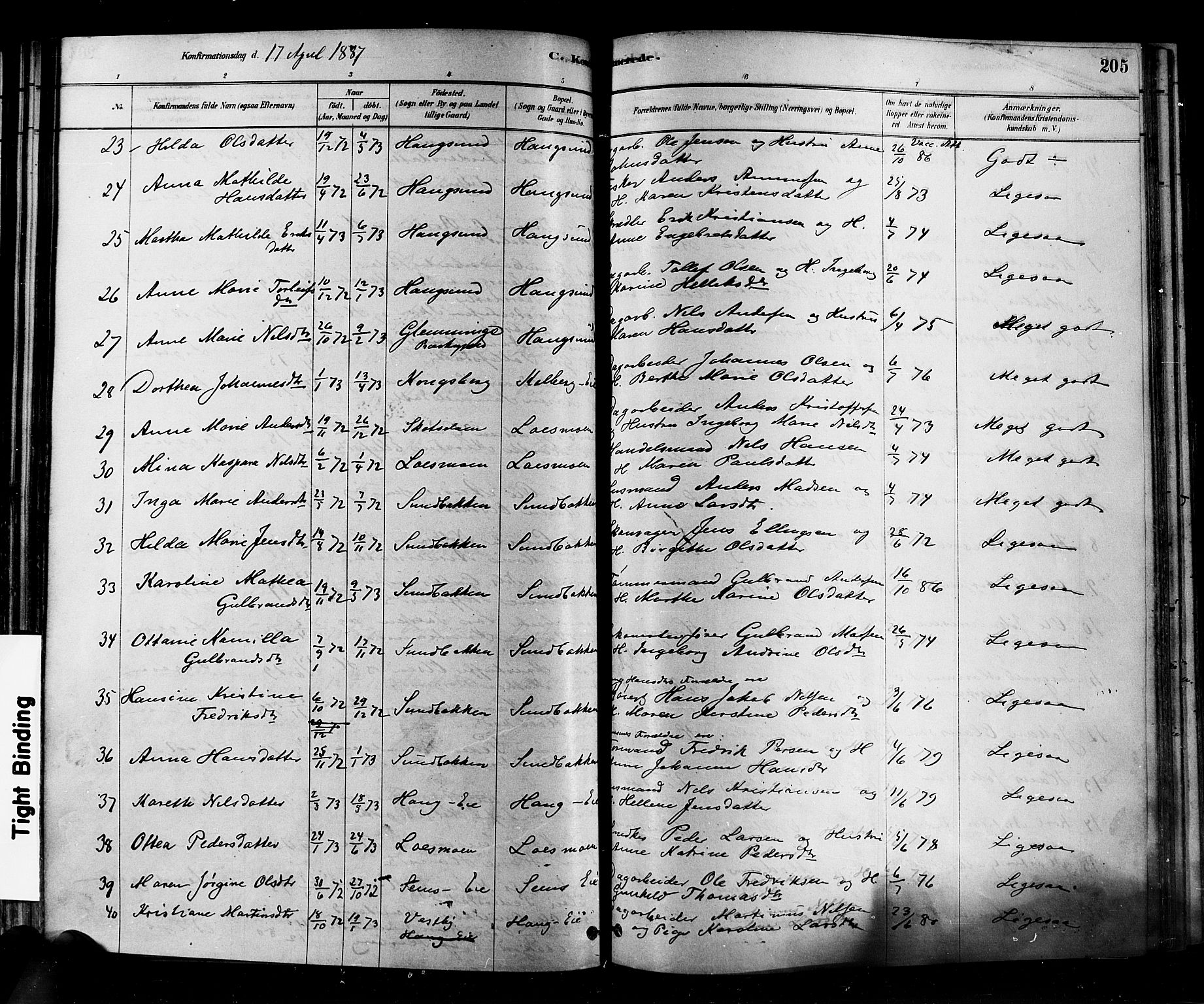 Eiker kirkebøker, AV/SAKO-A-4/F/Fb/L0001: Parish register (official) no. II 1, 1878-1888, p. 205