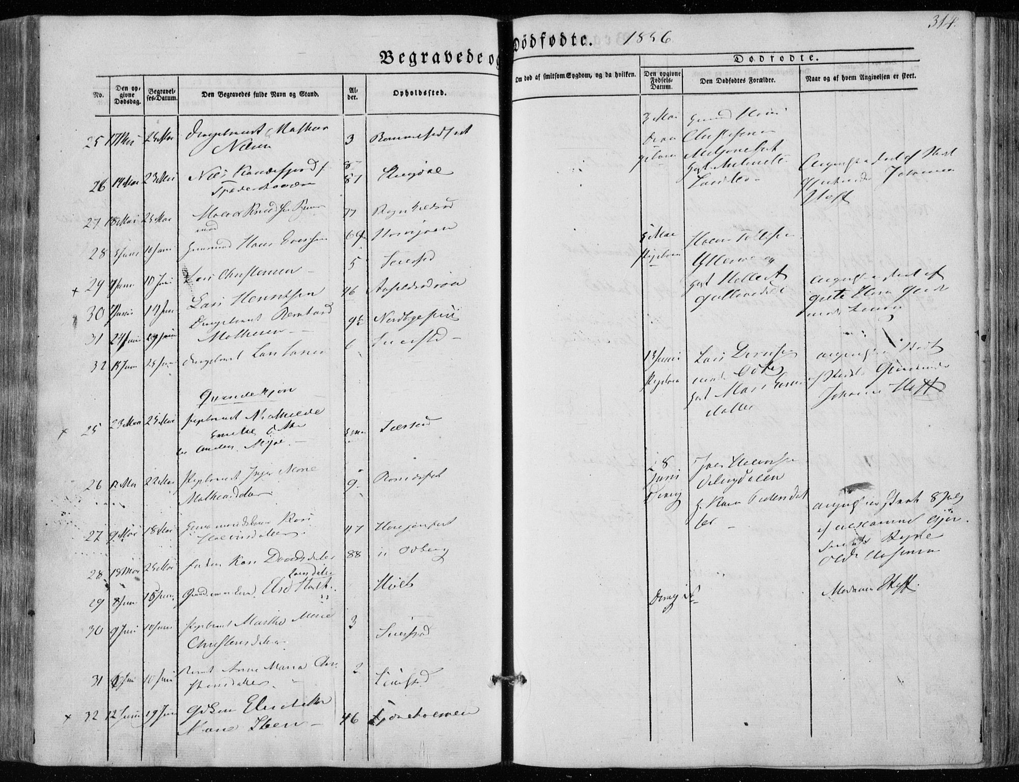 Hedrum kirkebøker, AV/SAKO-A-344/F/Fa/L0006: Parish register (official) no. I 6, 1849-1857, p. 314