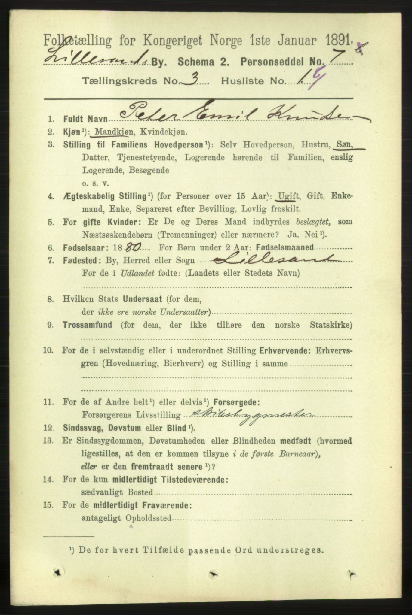 RA, 1891 census for 0905 Lillesand, 1891, p. 648