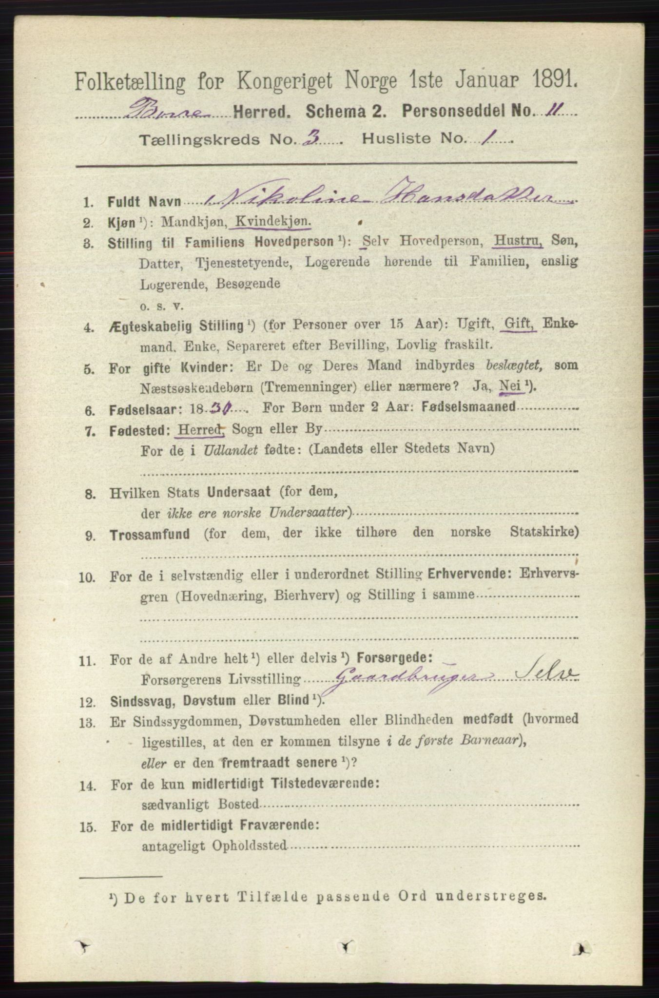 RA, 1891 census for 0717 Borre, 1891, p. 1225