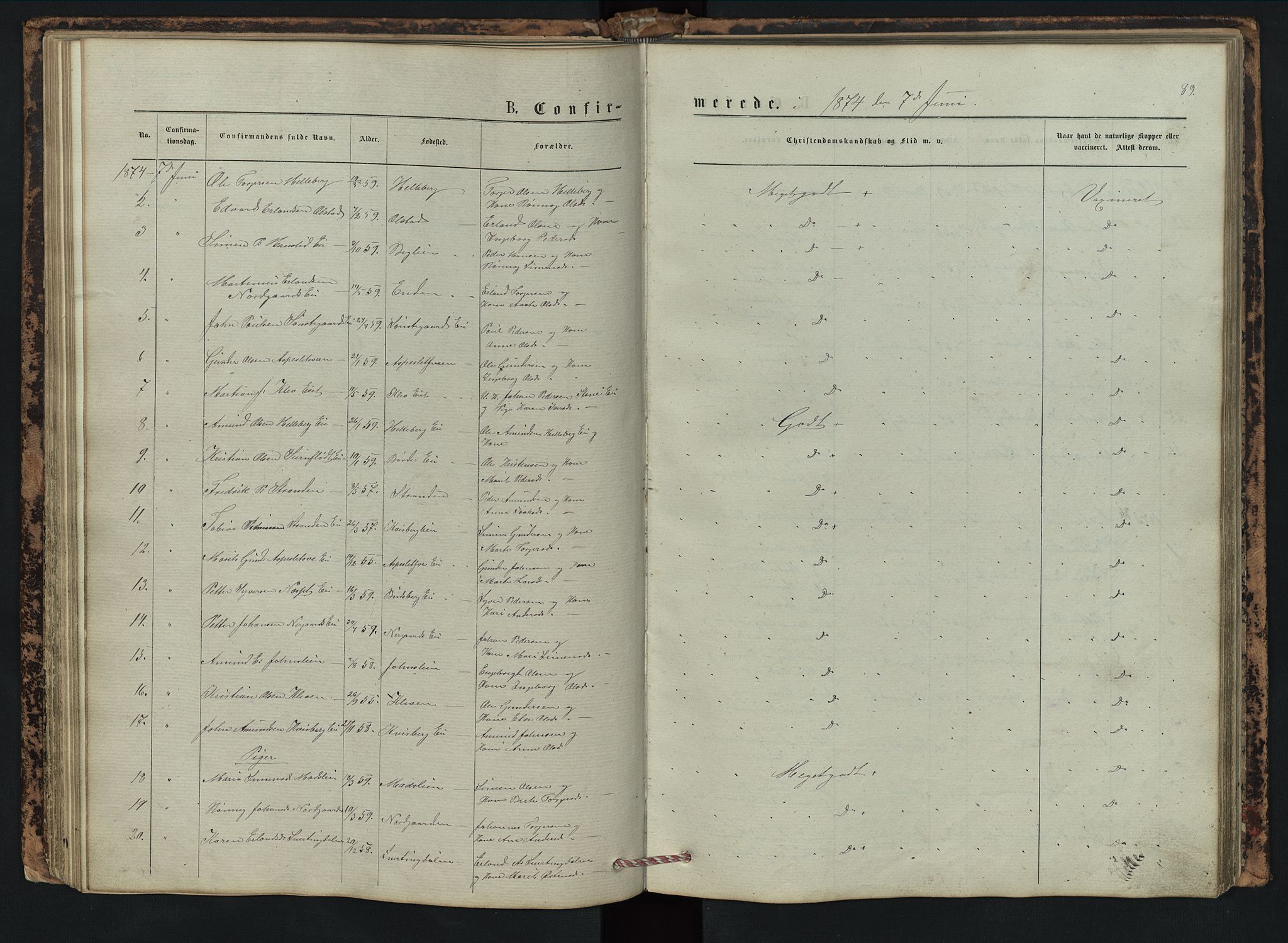 Vestre Gausdal prestekontor, SAH/PREST-094/H/Ha/Hab/L0002: Parish register (copy) no. 2, 1874-1897, p. 89
