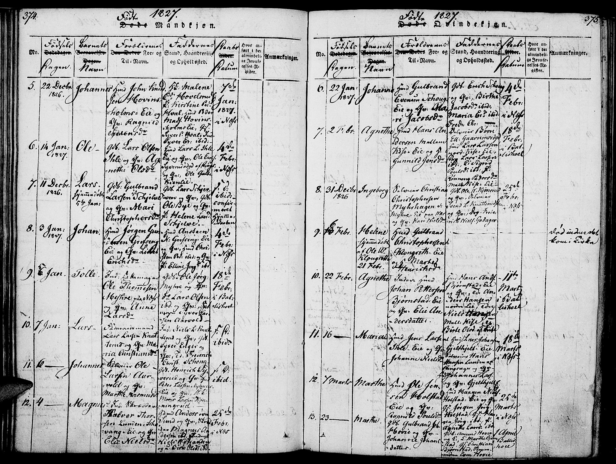 Nes prestekontor, Hedmark, AV/SAH-PREST-020/K/Ka/L0002: Parish register (official) no. 2, 1813-1827, p. 374-375