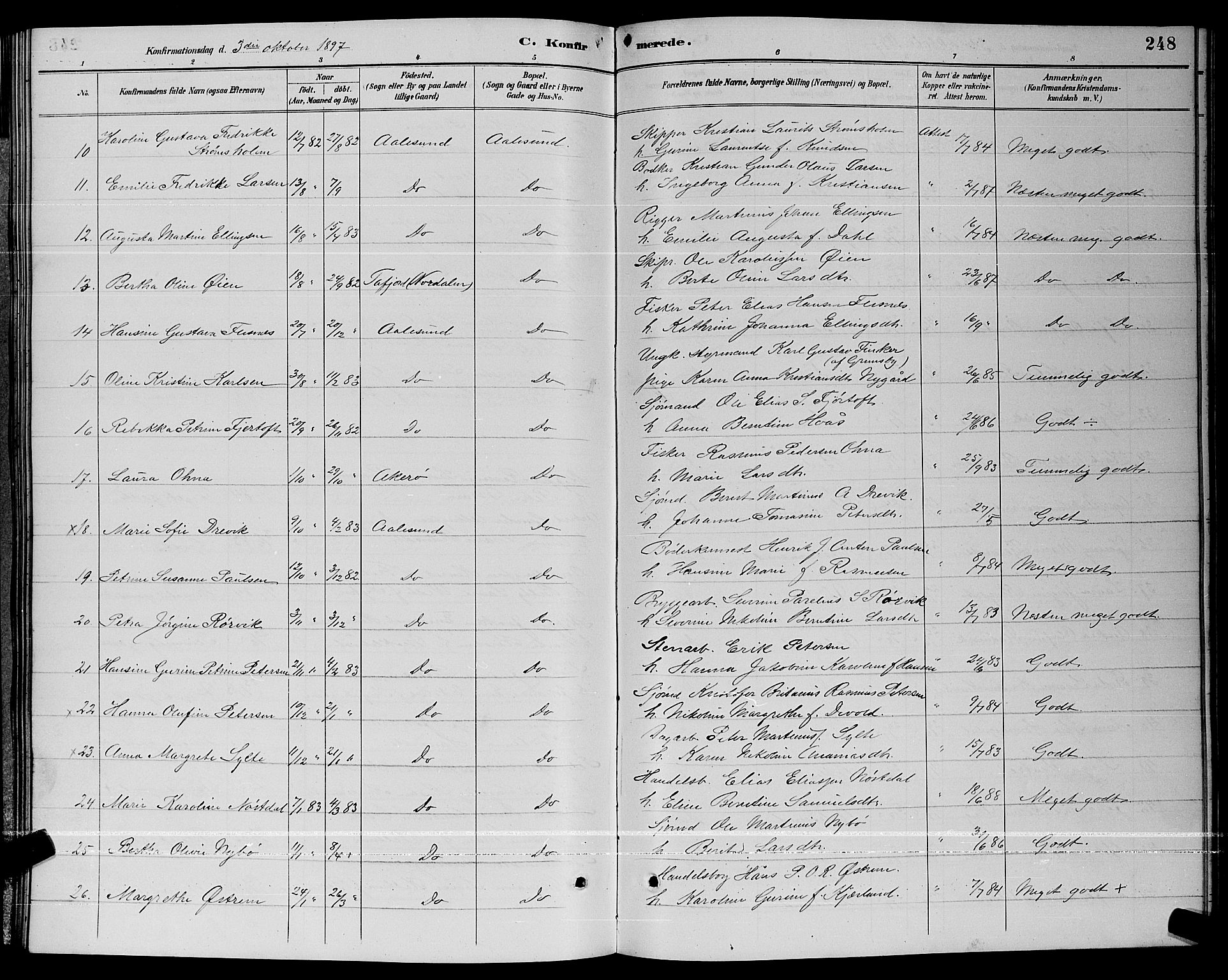 Ministerialprotokoller, klokkerbøker og fødselsregistre - Møre og Romsdal, AV/SAT-A-1454/529/L0467: Parish register (copy) no. 529C04, 1889-1897, p. 248