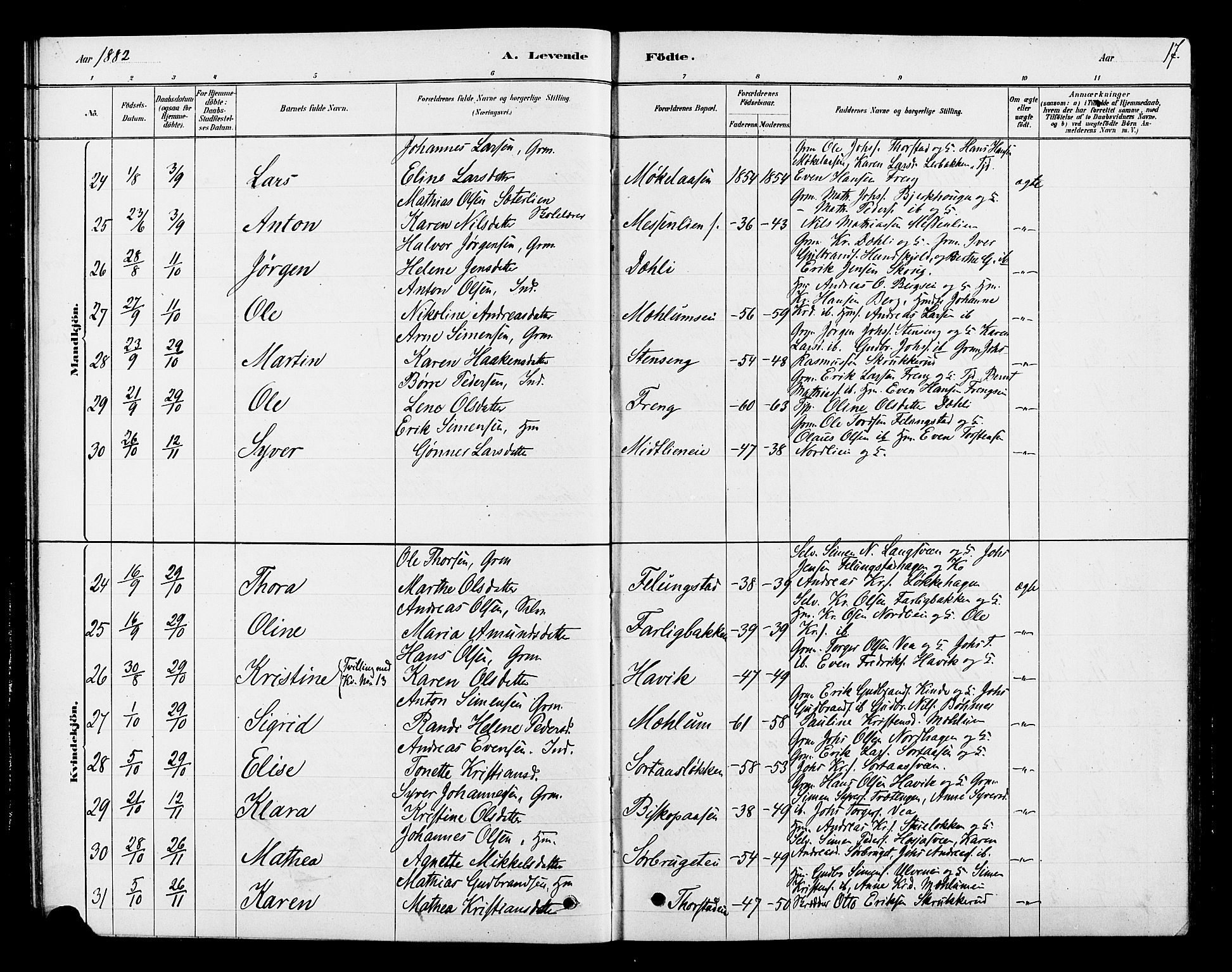 Ringsaker prestekontor, AV/SAH-PREST-014/L/La/L0010: Parish register (copy) no. 10, 1879-1890, p. 17