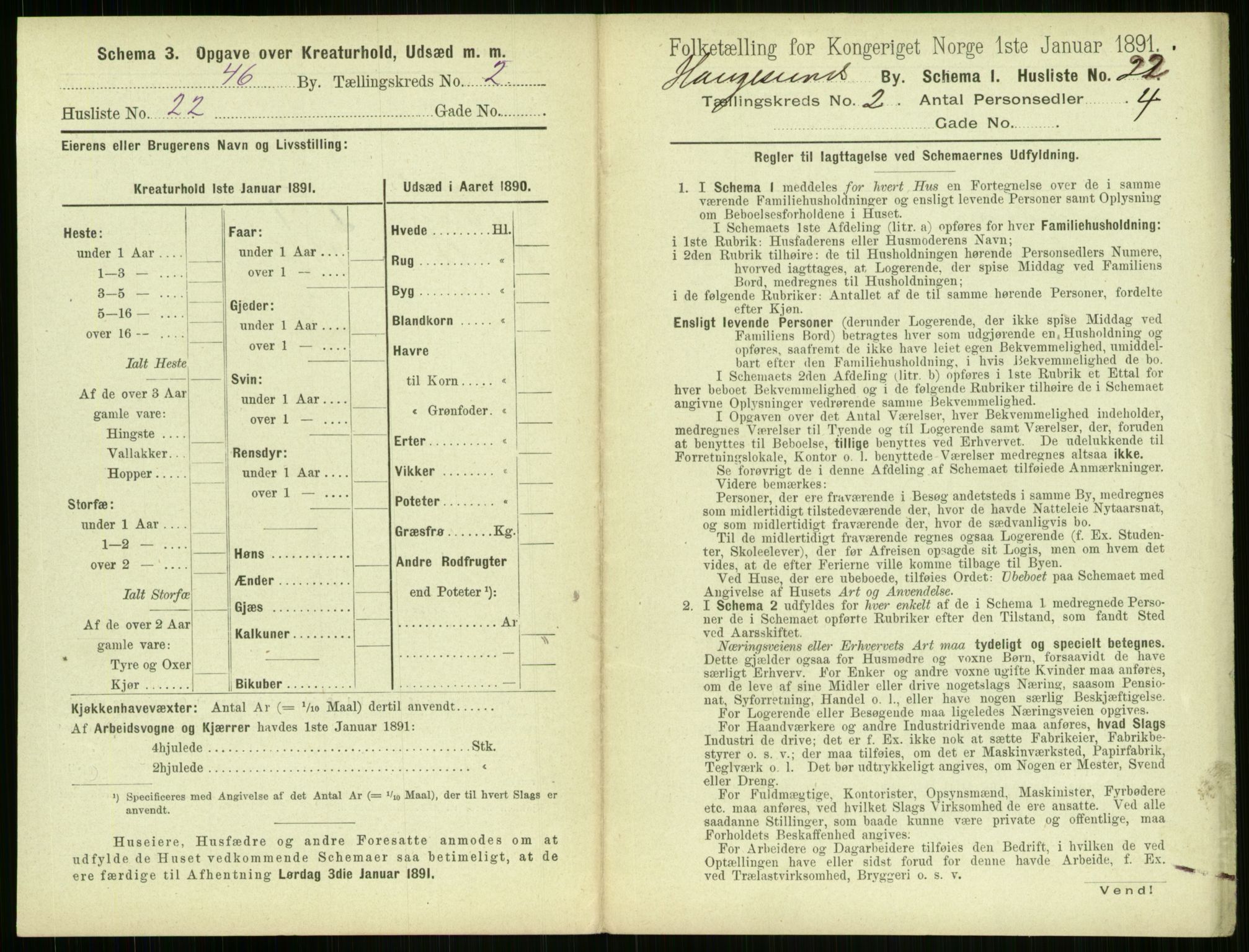 RA, 1891 census for 1106 Haugesund, 1891, p. 141