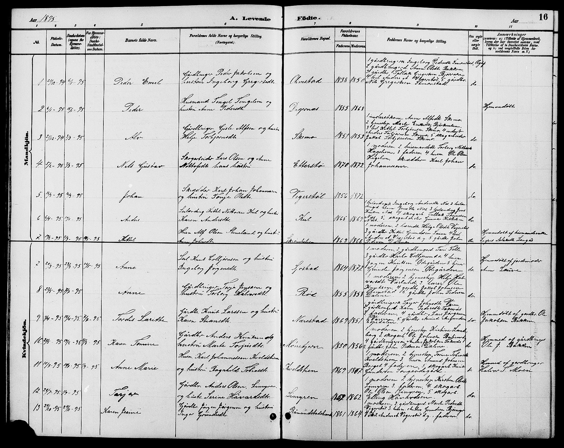 Gjerstad sokneprestkontor, SAK/1111-0014/F/Fb/Fbb/L0004: Parish register (copy) no. B 4, 1890-1910, p. 16