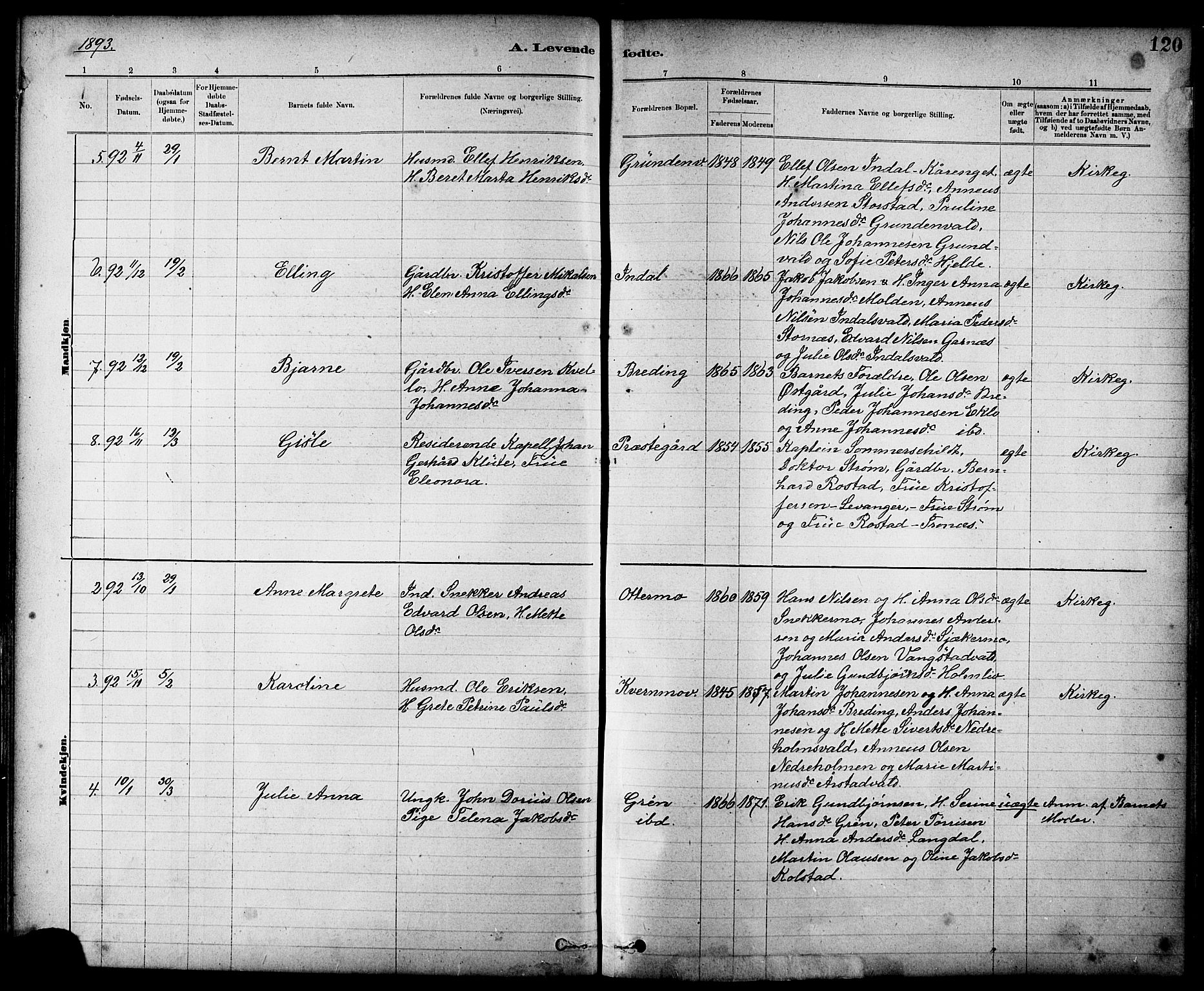 Ministerialprotokoller, klokkerbøker og fødselsregistre - Nord-Trøndelag, SAT/A-1458/724/L0267: Parish register (copy) no. 724C03, 1879-1898, p. 120