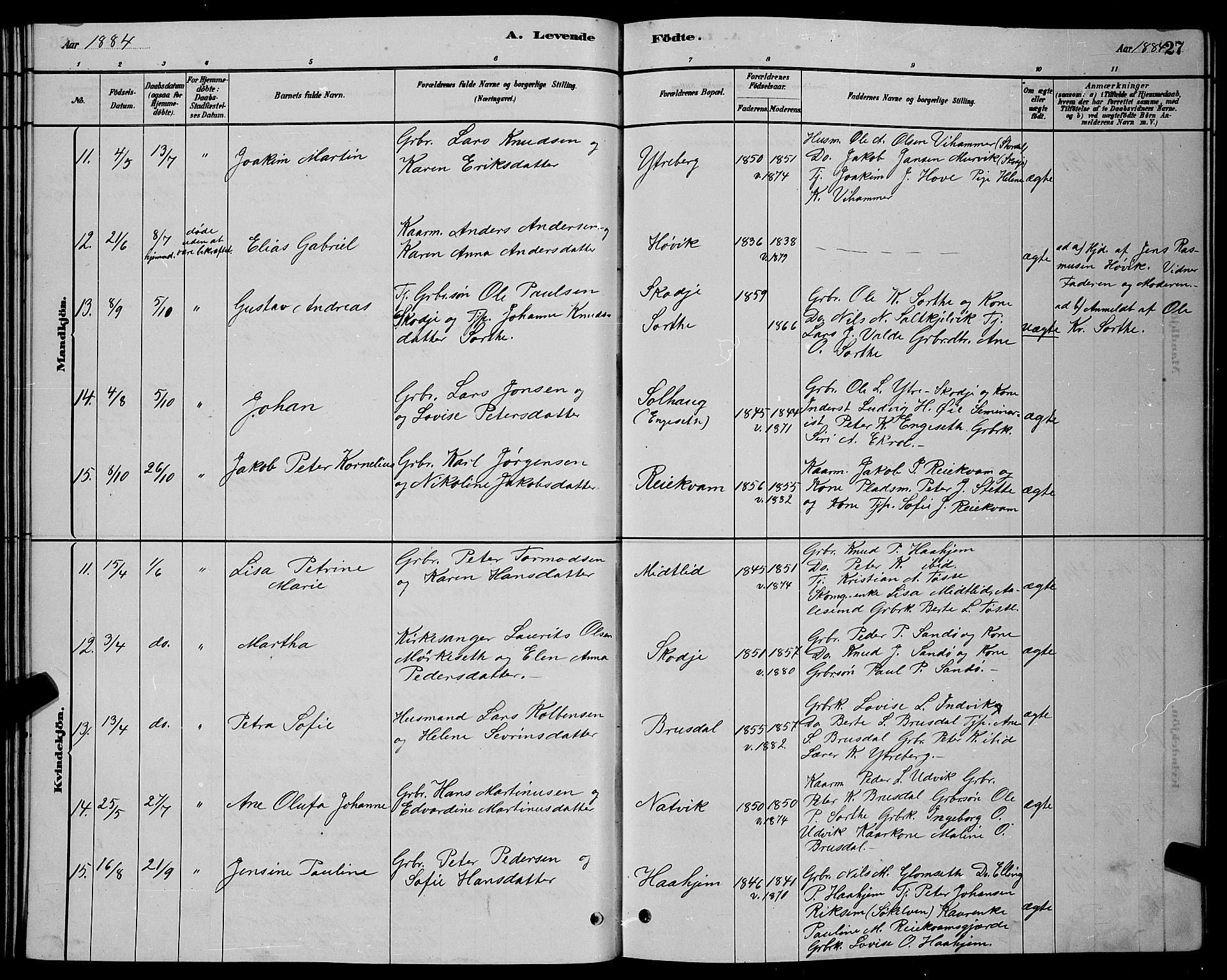 Ministerialprotokoller, klokkerbøker og fødselsregistre - Møre og Romsdal, AV/SAT-A-1454/524/L0365: Parish register (copy) no. 524C06, 1880-1899, p. 27