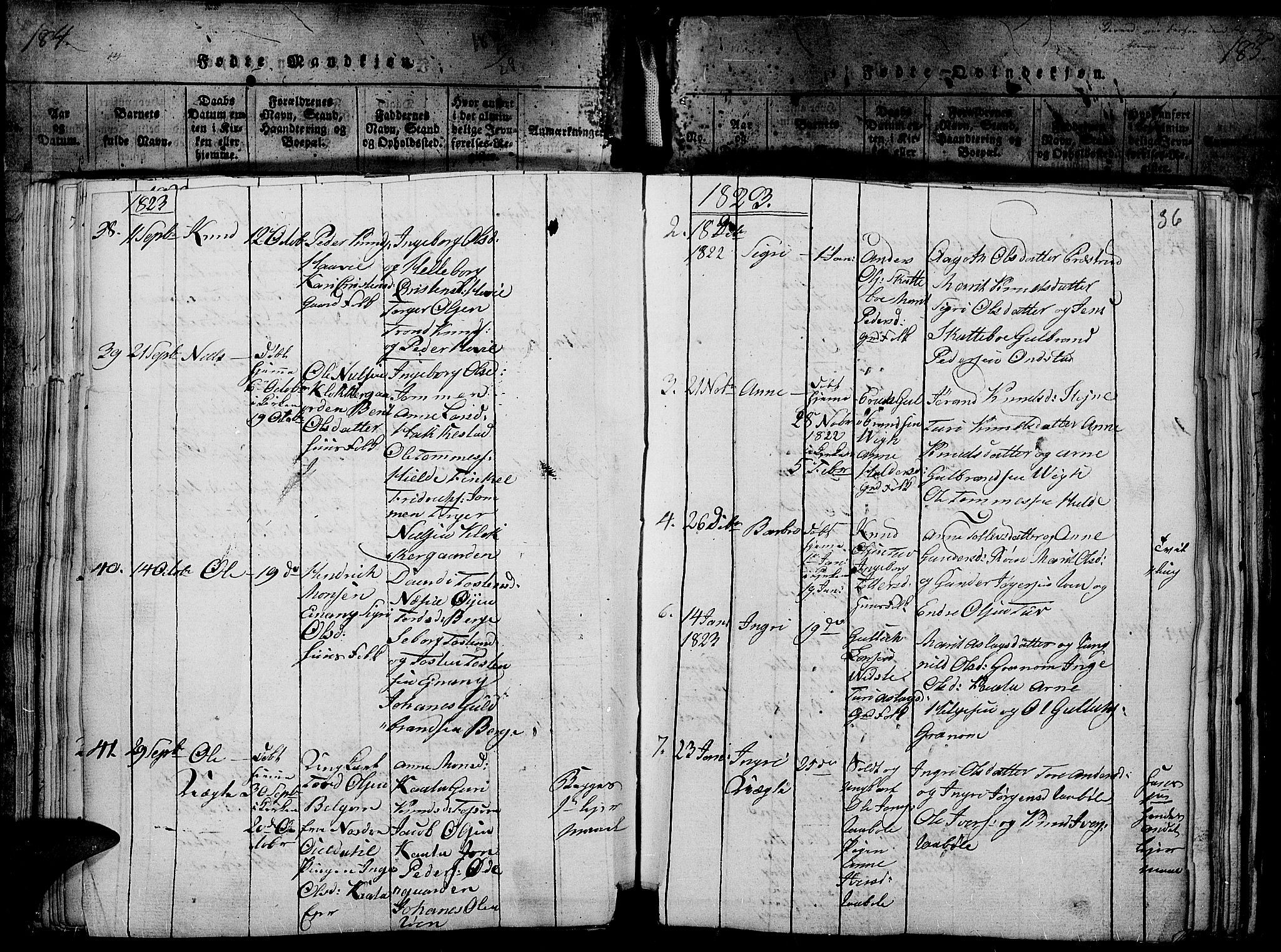 Slidre prestekontor, SAH/PREST-134/H/Ha/Haa/L0002: Parish register (official) no. 2, 1814-1830, p. 185j