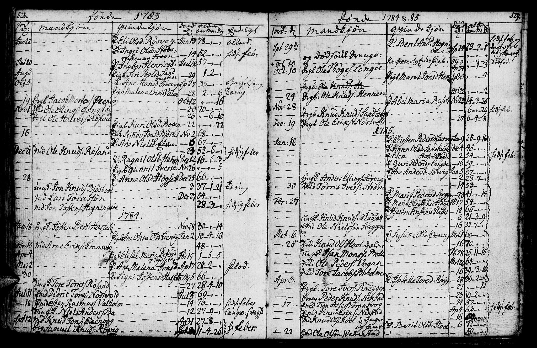 Ministerialprotokoller, klokkerbøker og fødselsregistre - Møre og Romsdal, AV/SAT-A-1454/569/L0816: Parish register (official) no. 569A02, 1759-1805, p. 528-529