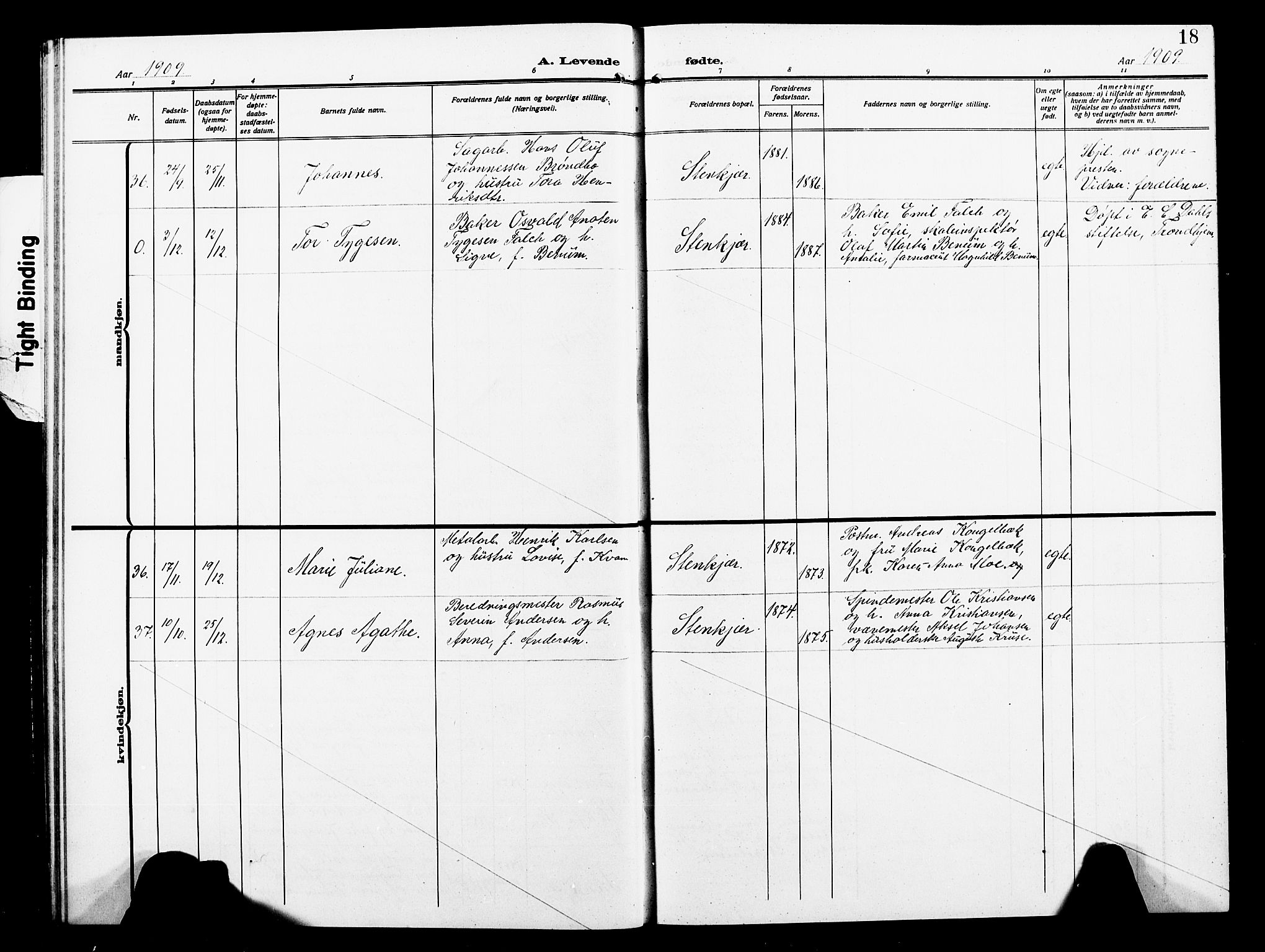 Ministerialprotokoller, klokkerbøker og fødselsregistre - Nord-Trøndelag, SAT/A-1458/739/L0376: Parish register (copy) no. 739C04, 1908-1917, p. 18