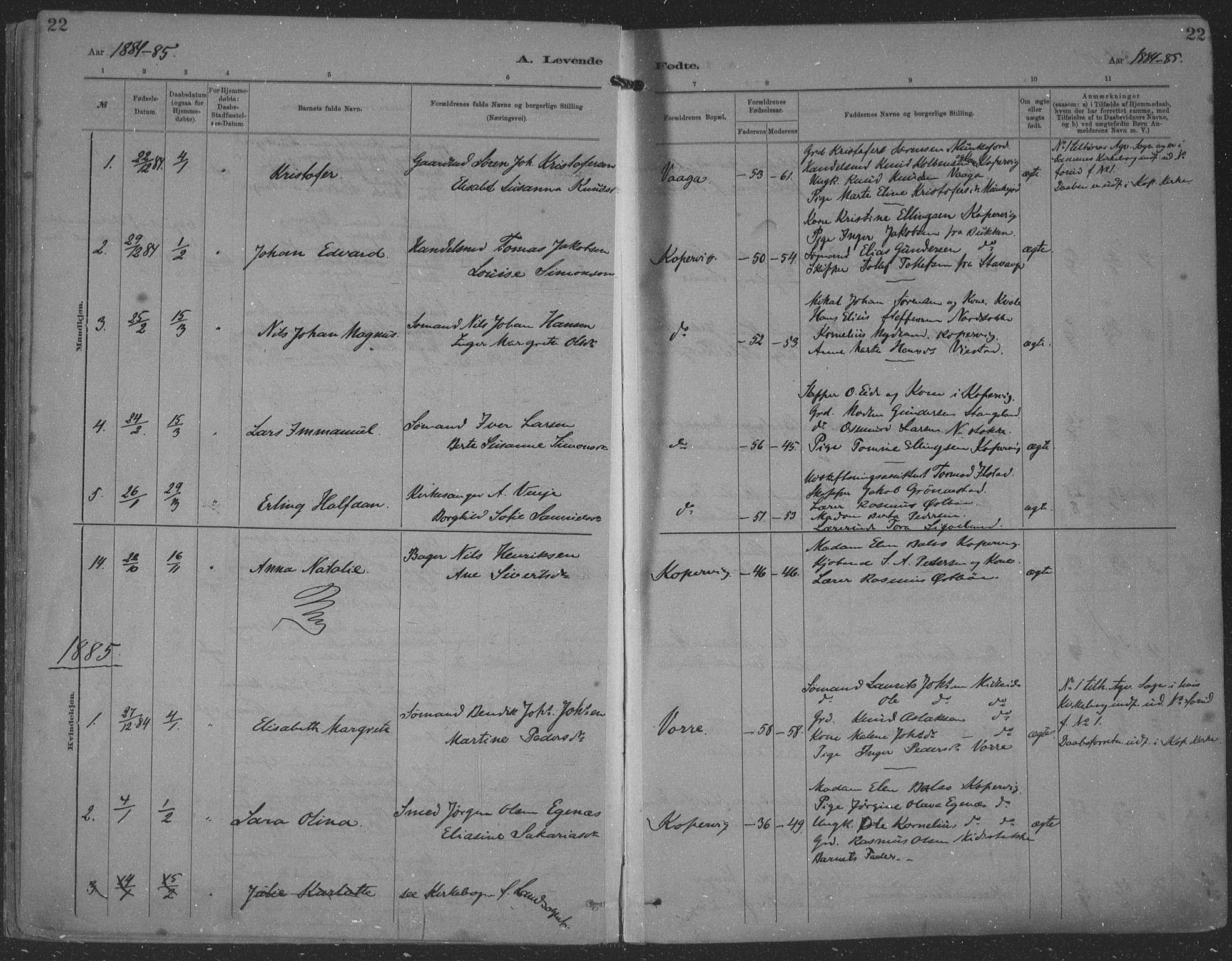 Kopervik sokneprestkontor, SAST/A-101850/H/Ha/Haa/L0001: Parish register (official) no. A 1, 1880-1919, p. 22