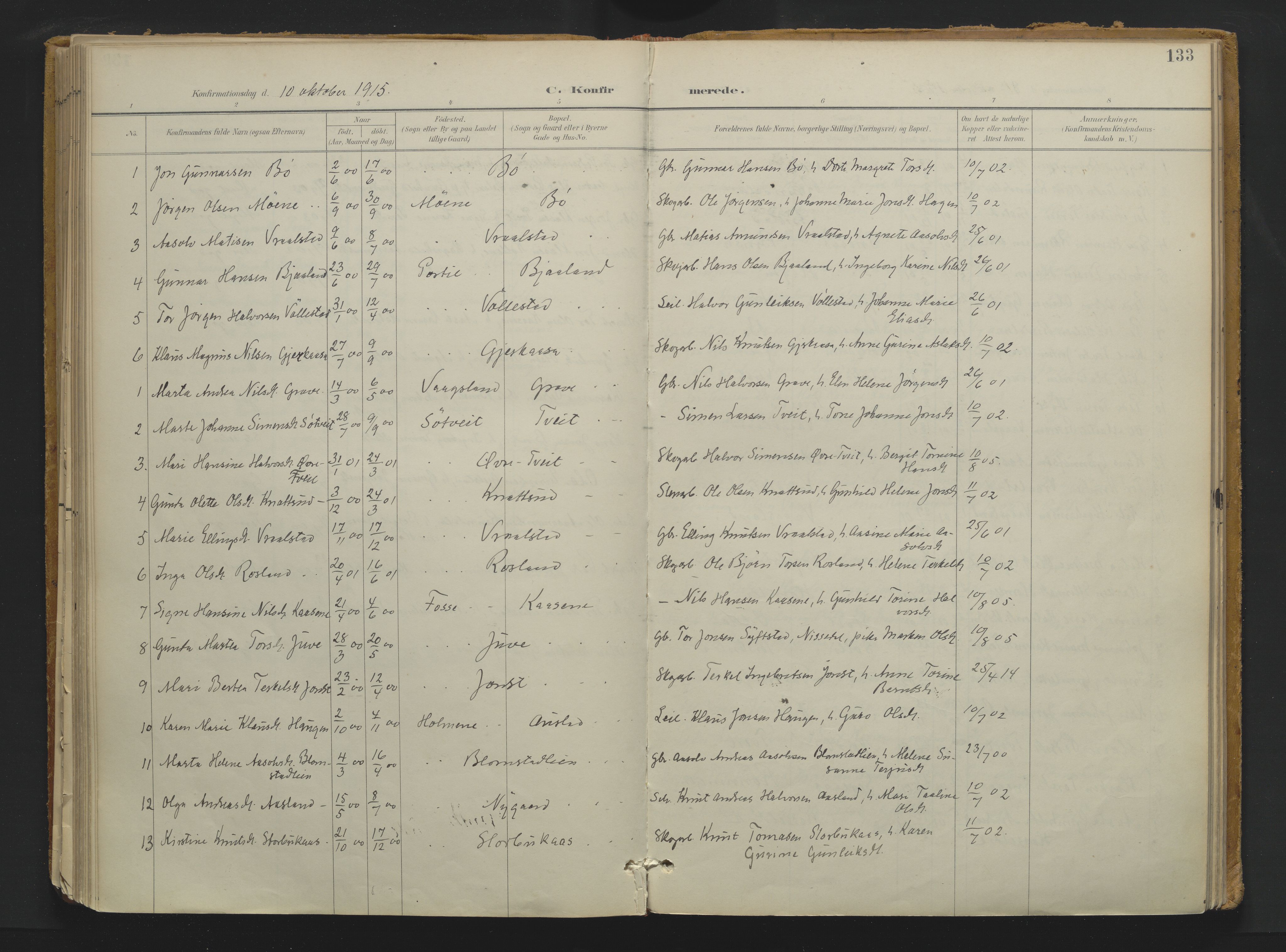 Drangedal kirkebøker, SAKO/A-258/F/Fa/L0013: Parish register (official) no. 13, 1895-1919, p. 133