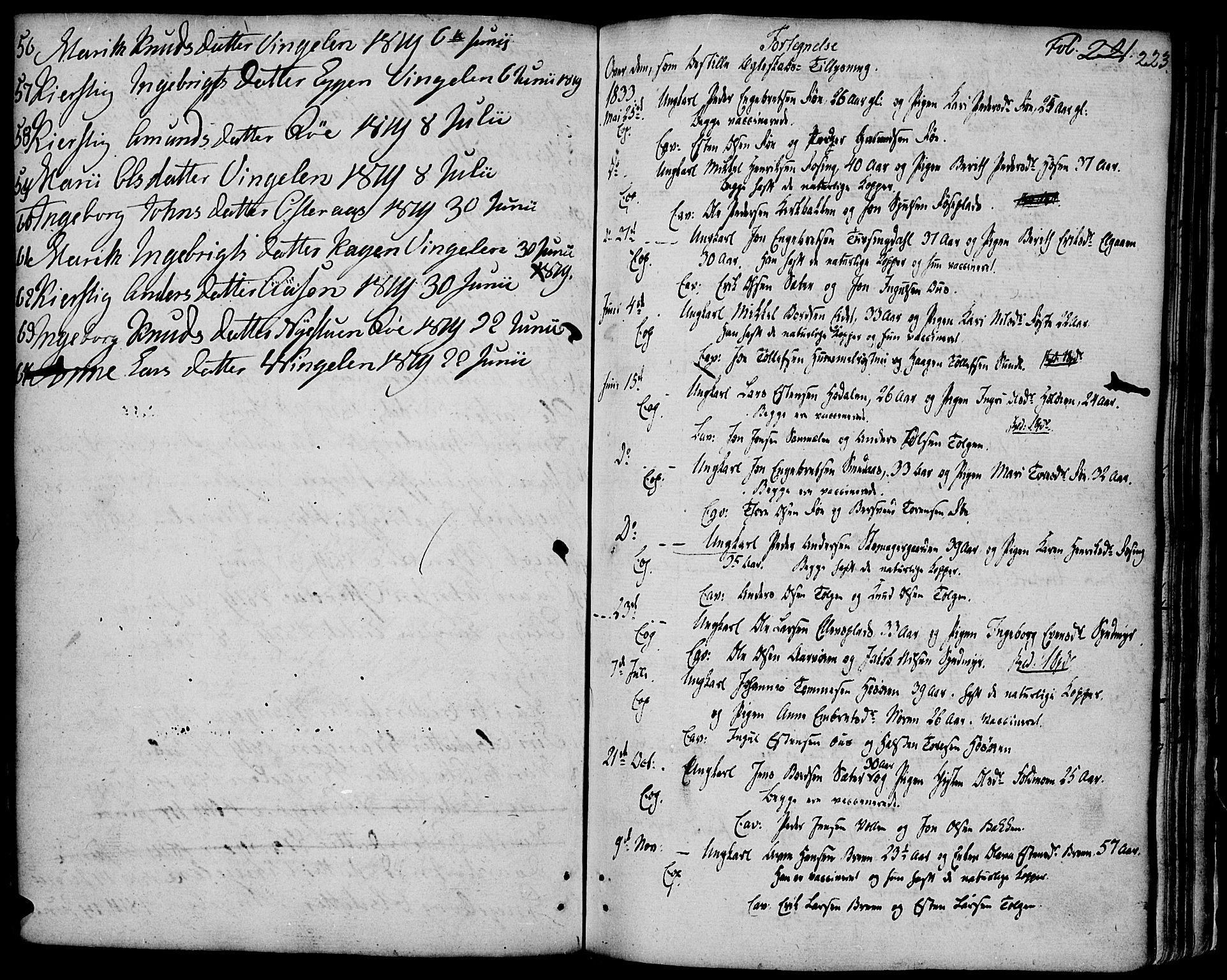 Tolga prestekontor, SAH/PREST-062/K/L0003: Parish register (official) no. 3, 1786-1814, p. 223