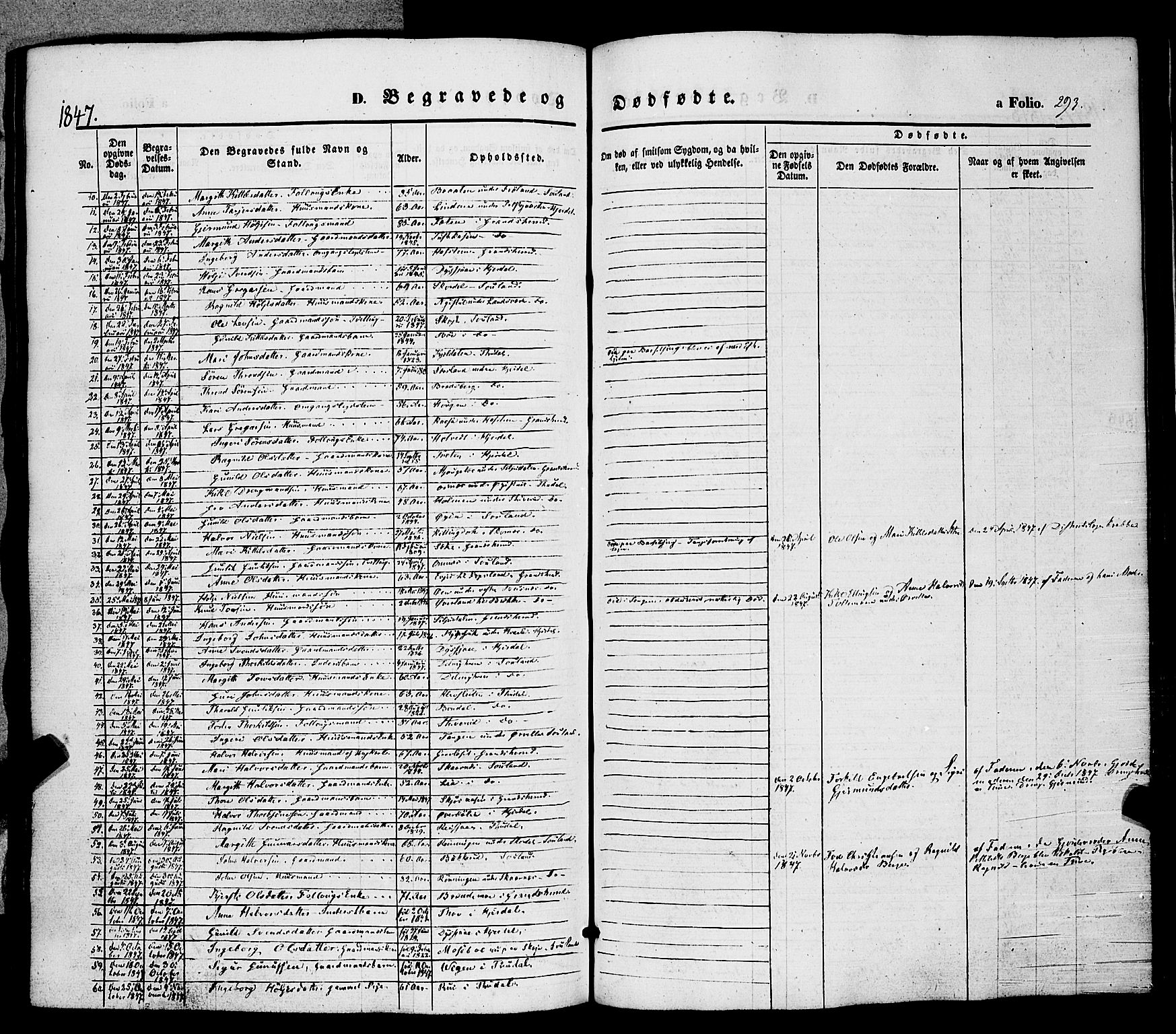 Hjartdal kirkebøker, SAKO/A-270/F/Fa/L0008: Parish register (official) no. I 8, 1844-1859, p. 293