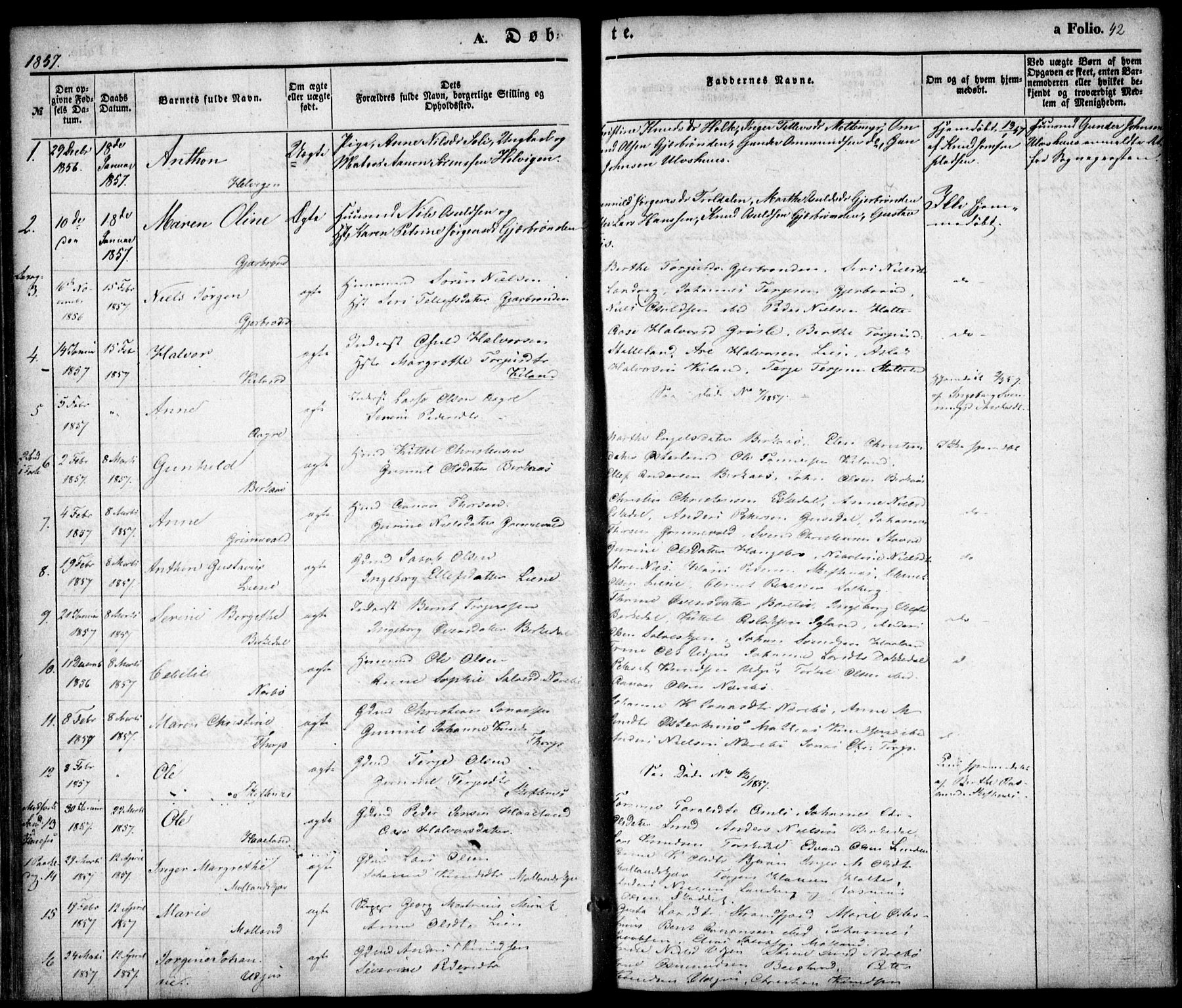 Hommedal sokneprestkontor, AV/SAK-1111-0023/F/Fa/Fab/L0004: Parish register (official) no. A 4, 1848-1860, p. 42