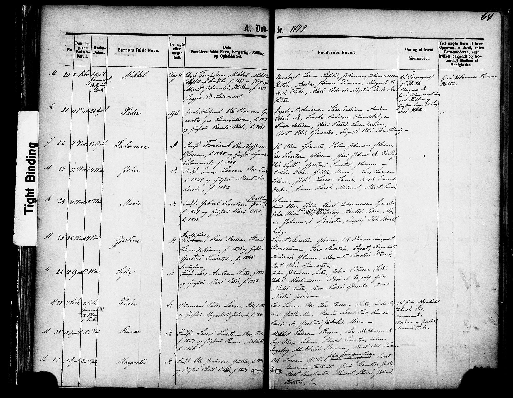 Ministerialprotokoller, klokkerbøker og fødselsregistre - Møre og Romsdal, AV/SAT-A-1454/595/L1046: Parish register (official) no. 595A08, 1874-1884, p. 64