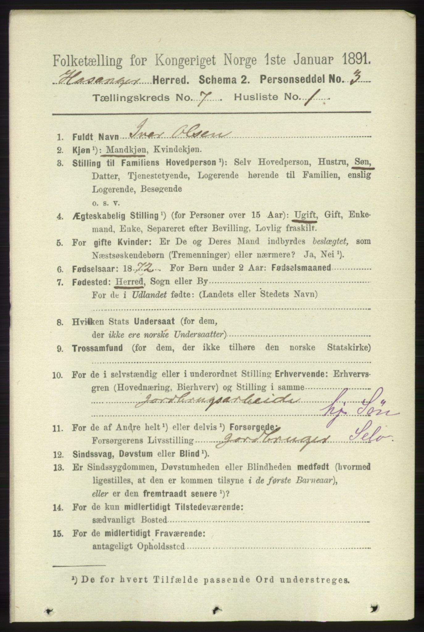 RA, 1891 census for 1253 Hosanger, 1891, p. 2493