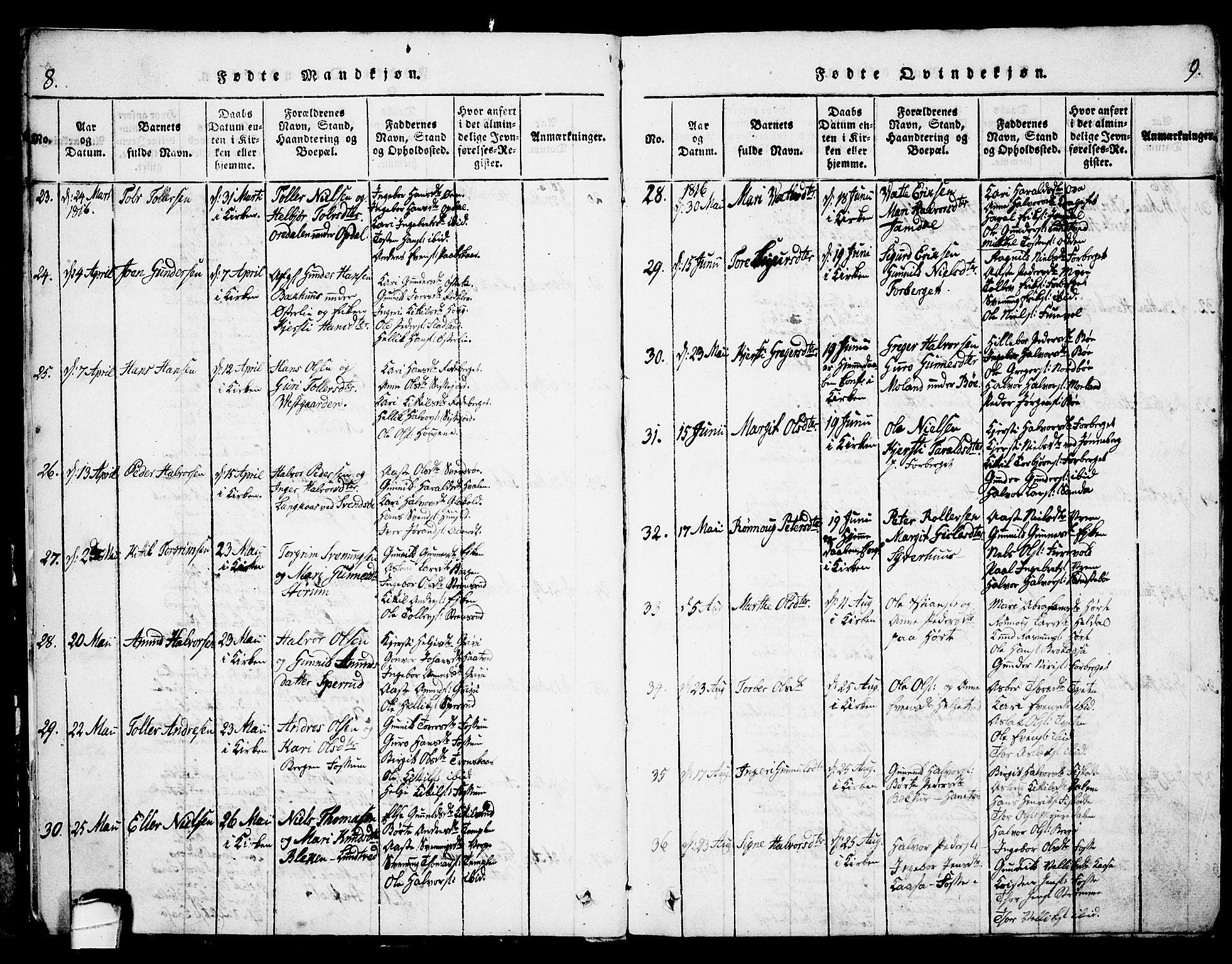 Bø kirkebøker, AV/SAKO-A-257/G/Ga/L0001: Parish register (copy) no. 1, 1815-1831, p. 8-9