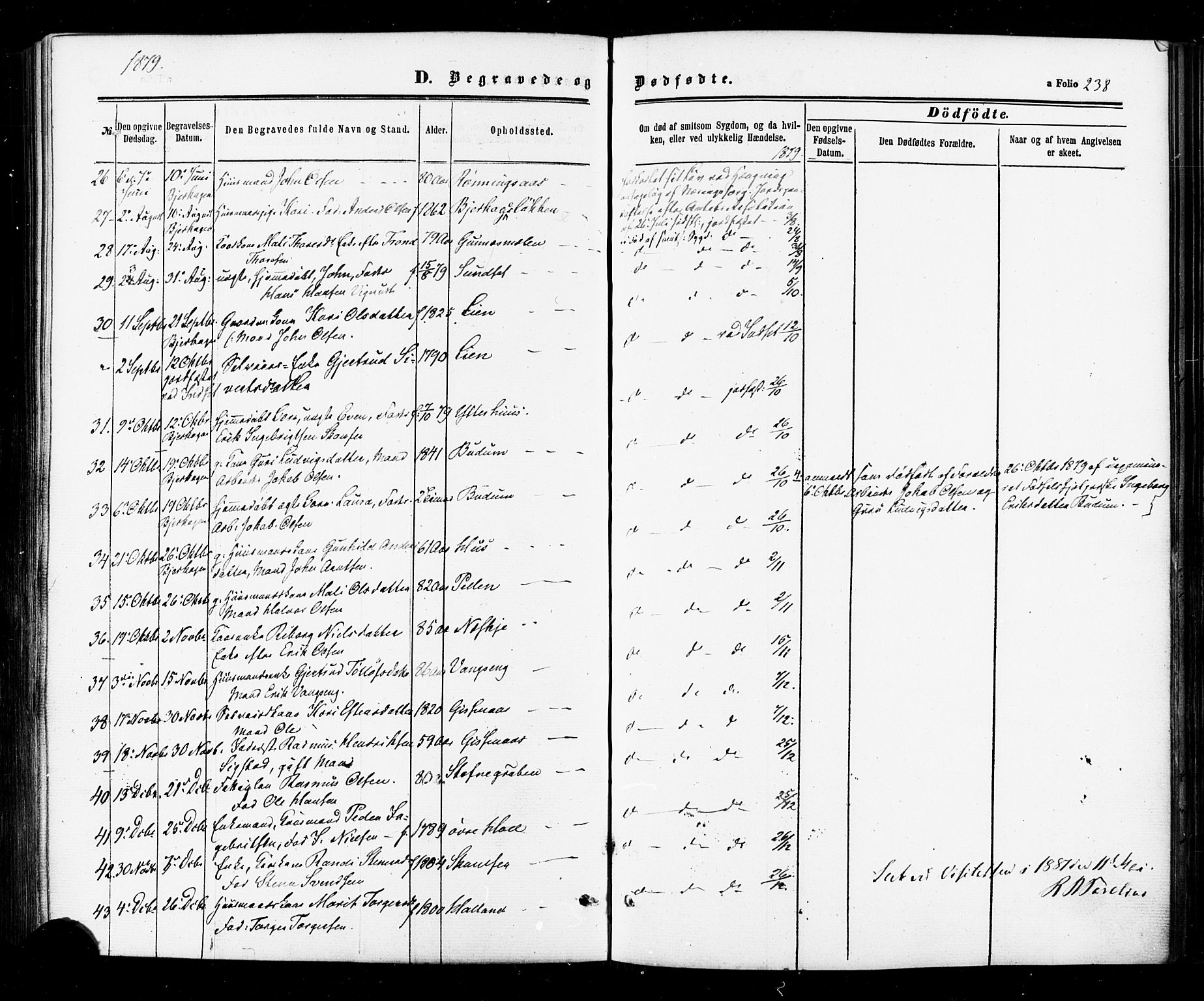Ministerialprotokoller, klokkerbøker og fødselsregistre - Sør-Trøndelag, SAT/A-1456/674/L0870: Parish register (official) no. 674A02, 1861-1879, p. 238