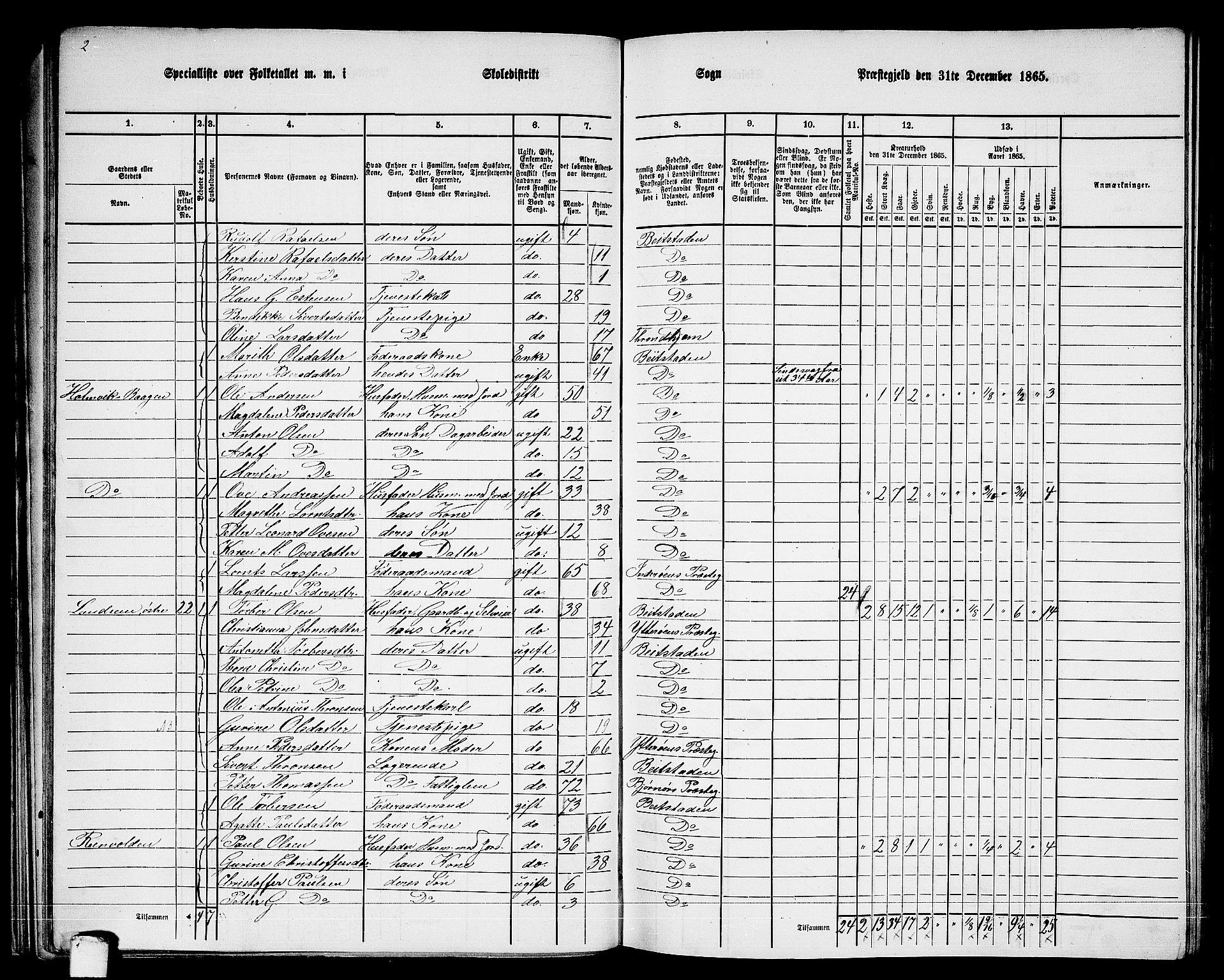 RA, 1865 census for Beitstad, 1865, p. 46