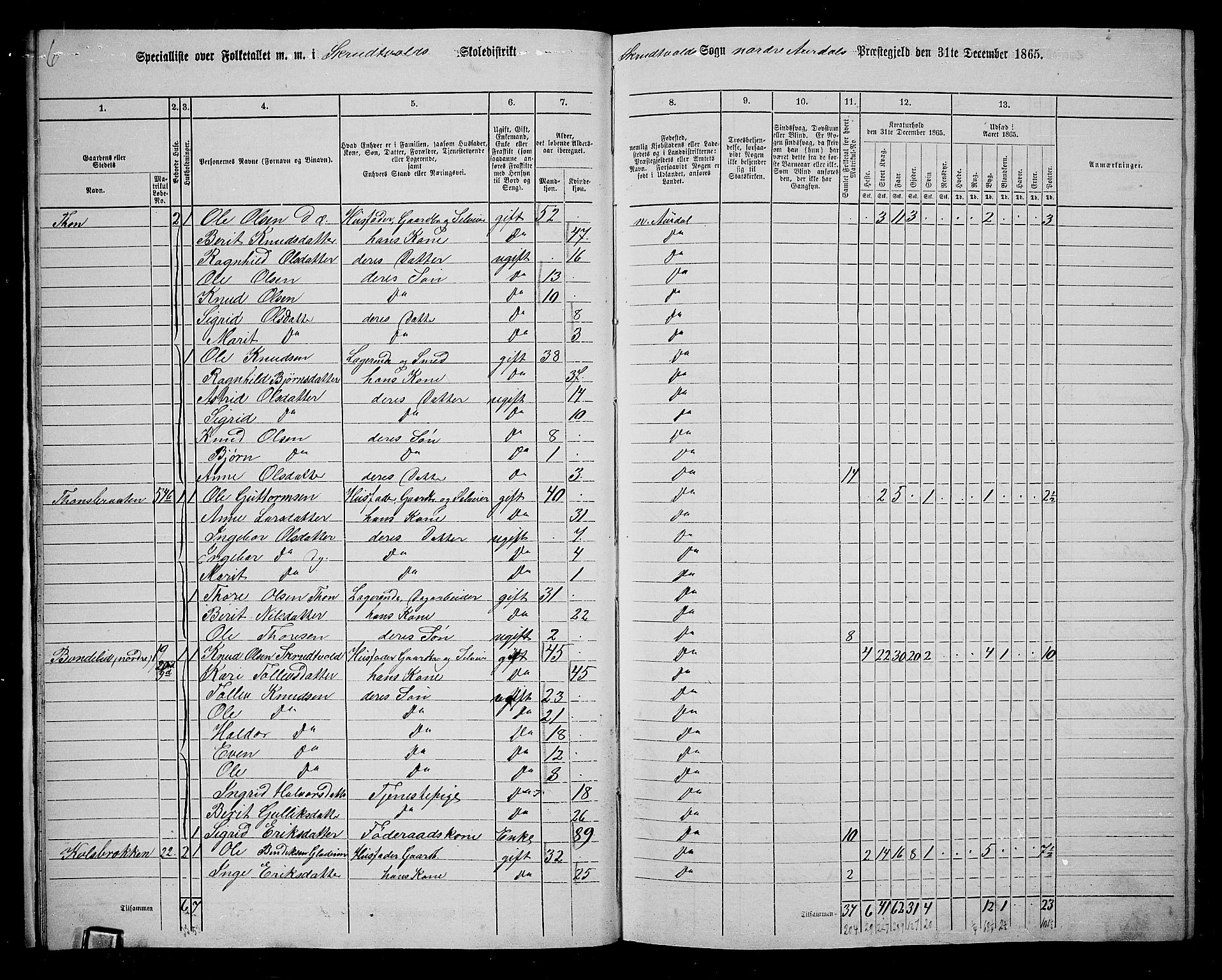 RA, 1865 census for Nord-Aurdal, 1865, p. 18