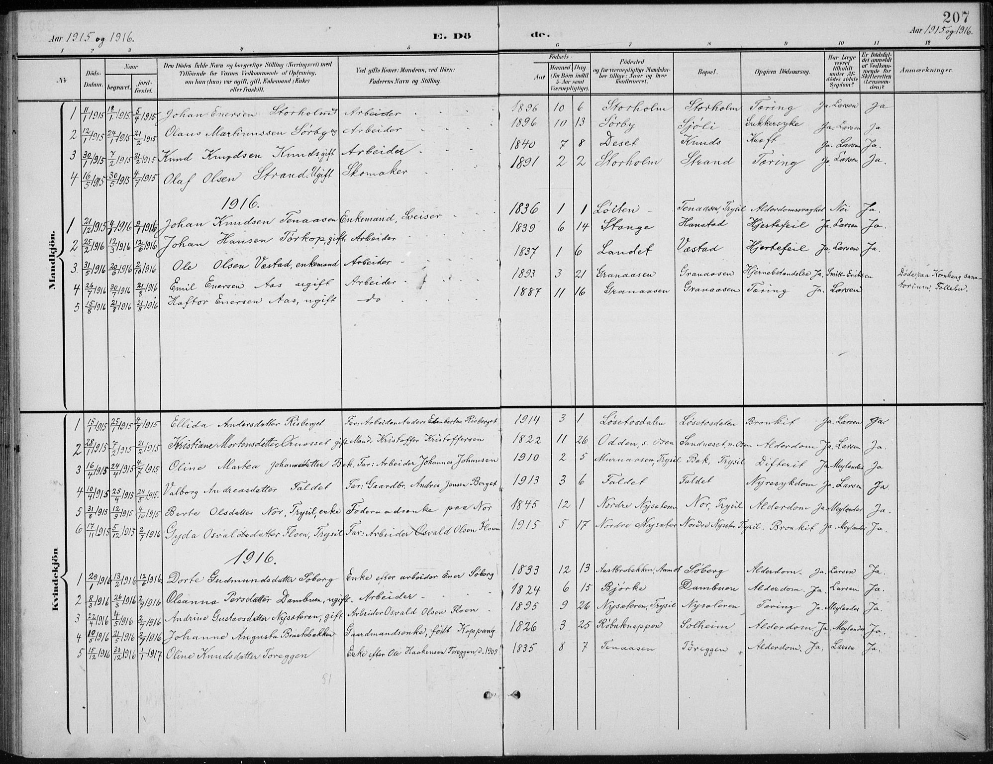 Åmot prestekontor, Hedmark, SAH/PREST-056/H/Ha/Hab/L0003: Parish register (copy) no. 3, 1902-1938, p. 207