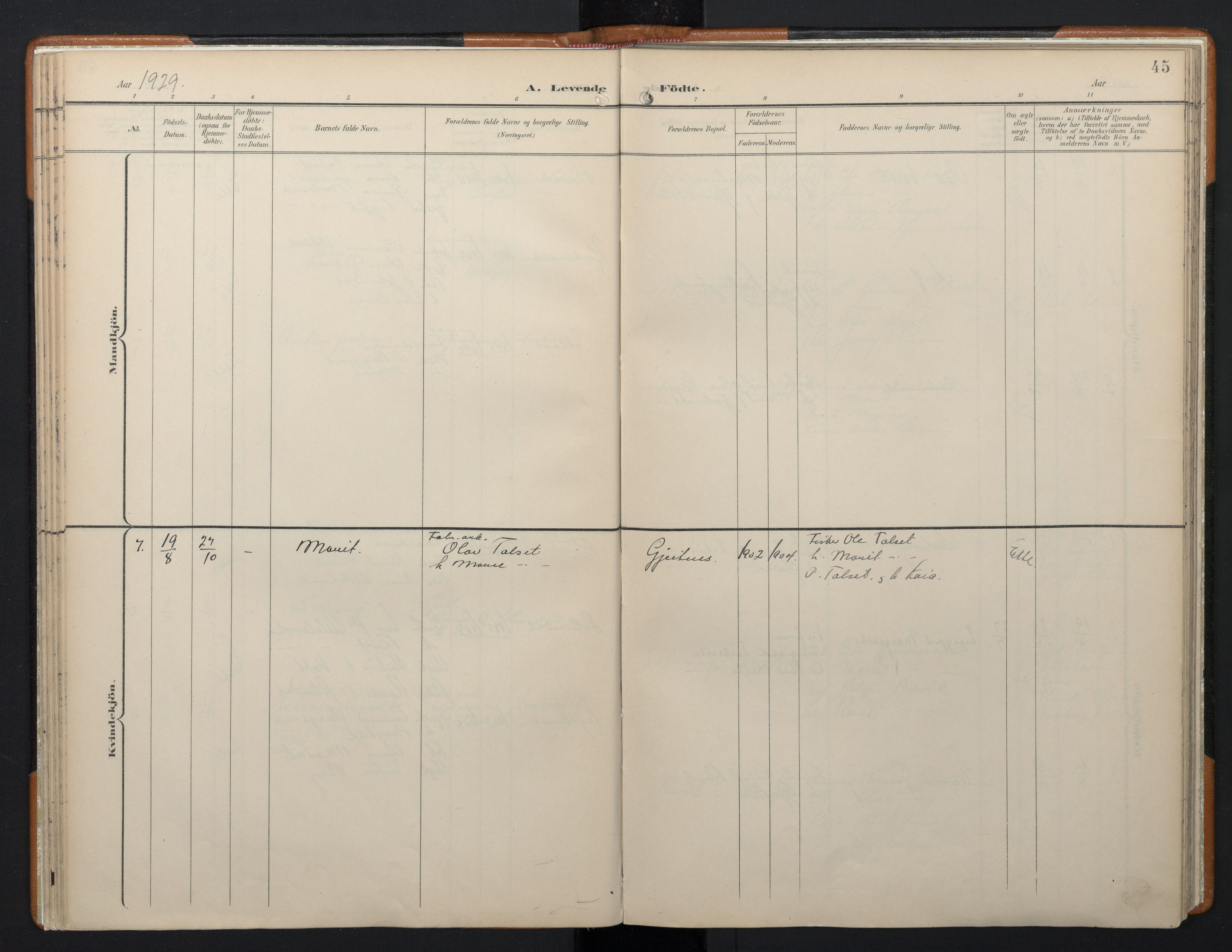 Ministerialprotokoller, klokkerbøker og fødselsregistre - Møre og Romsdal, AV/SAT-A-1454/556/L0676: Parish register (official) no. 556A01, 1899-1966, p. 45