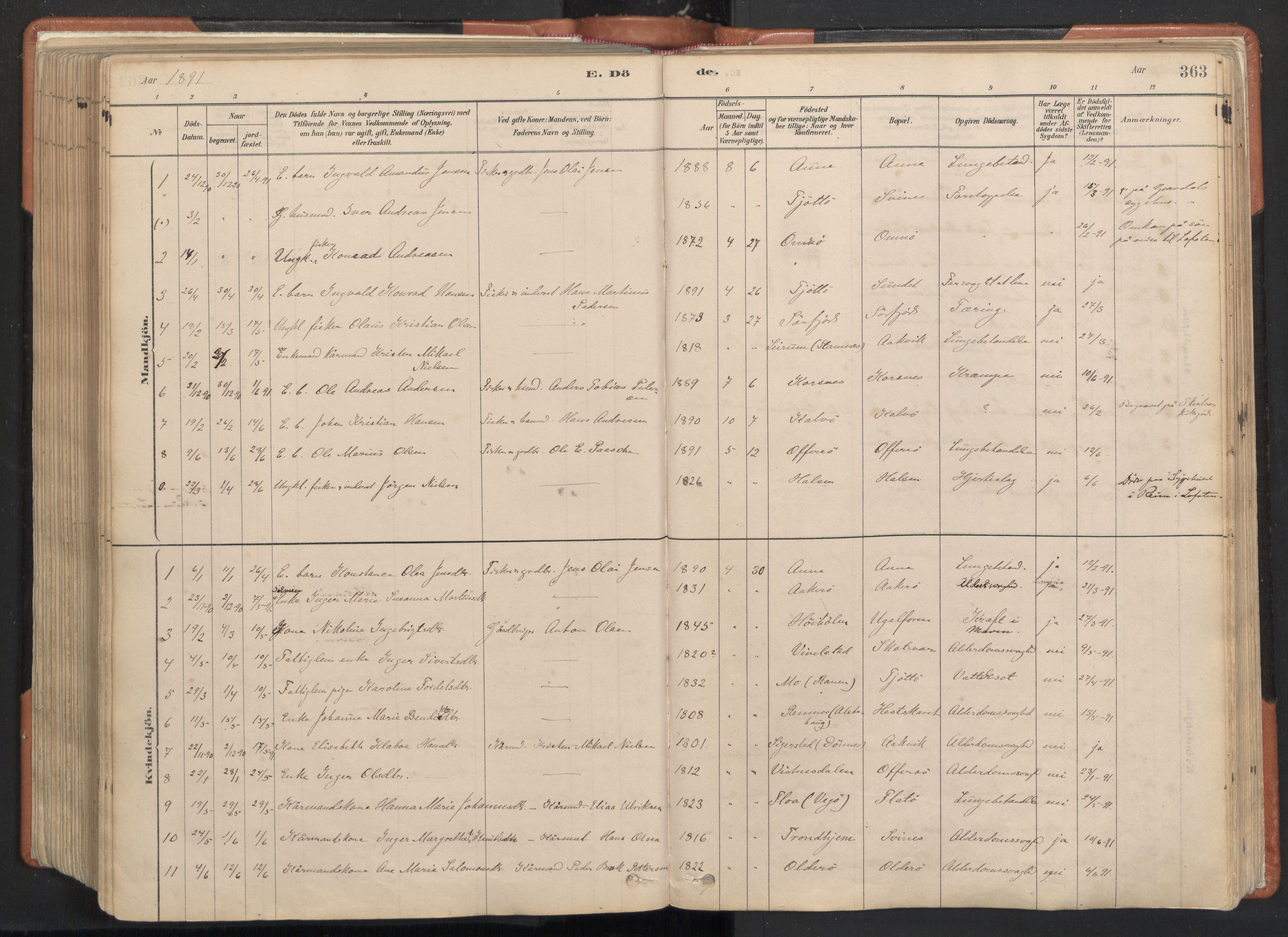 Ministerialprotokoller, klokkerbøker og fødselsregistre - Nordland, SAT/A-1459/817/L0264: Parish register (official) no. 817A04, 1878-1907, p. 363