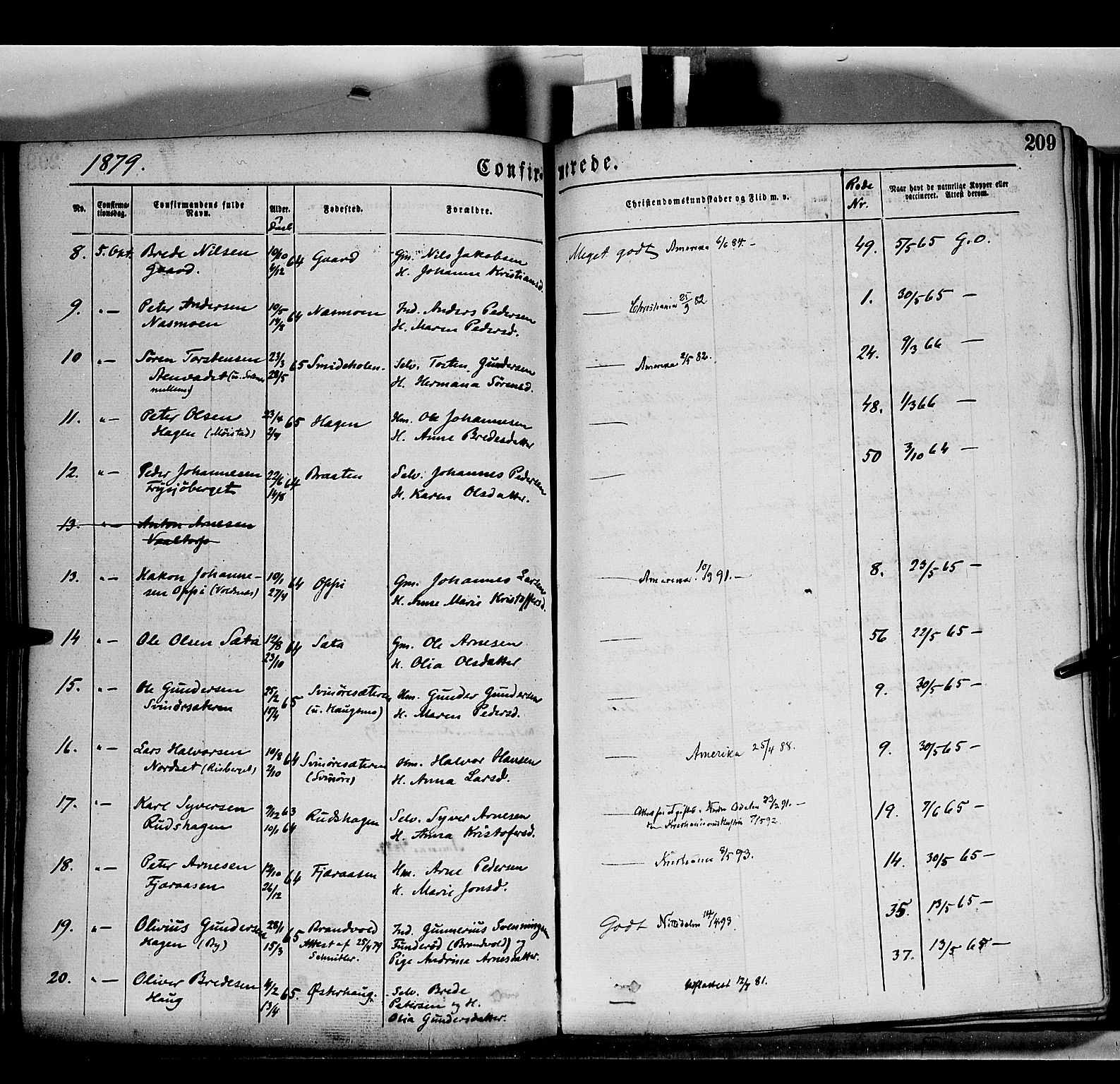 Grue prestekontor, AV/SAH-PREST-036/H/Ha/Haa/L0011: Parish register (official) no. 11, 1873-1880, p. 209