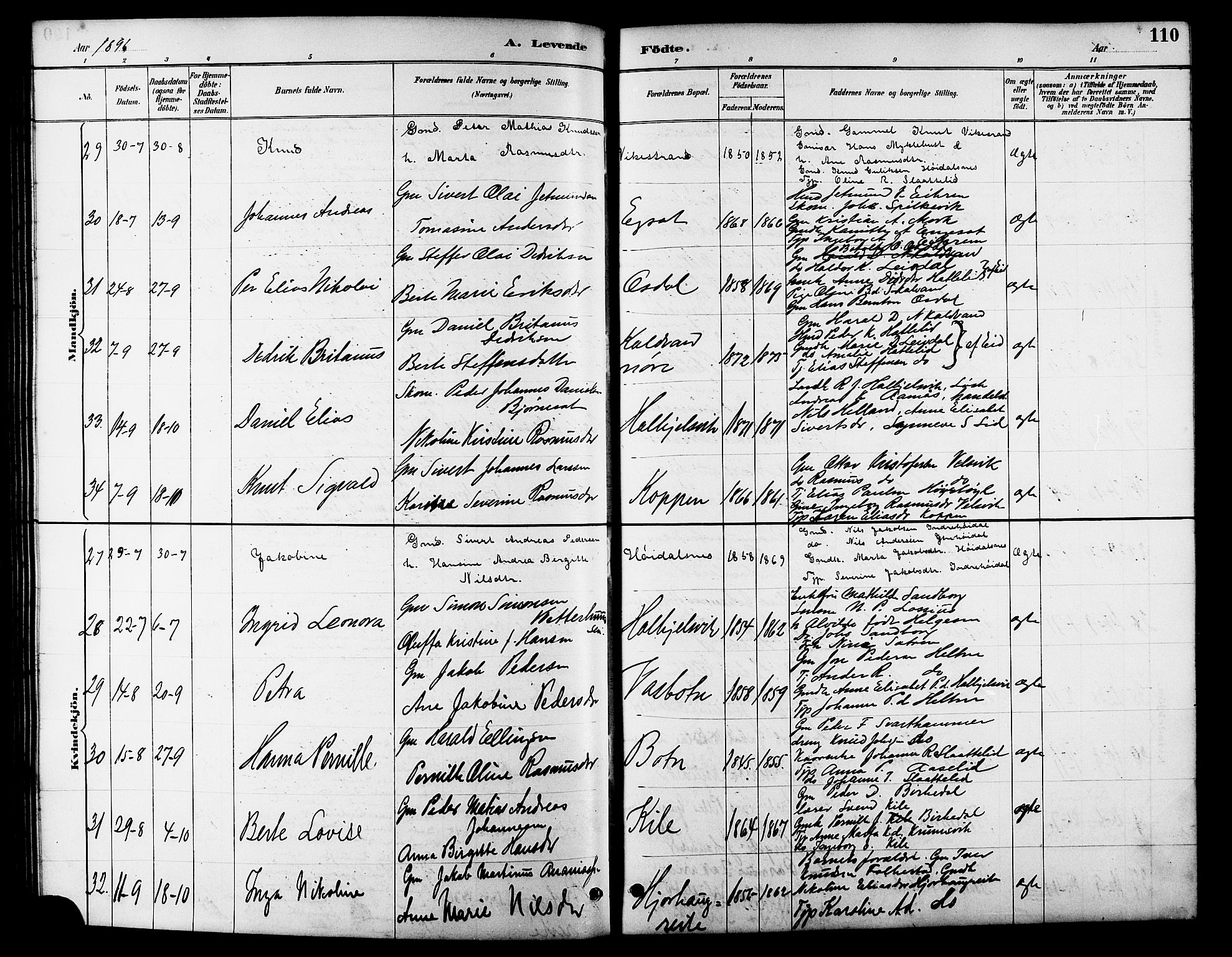 Ministerialprotokoller, klokkerbøker og fødselsregistre - Møre og Romsdal, AV/SAT-A-1454/511/L0158: Parish register (copy) no. 511C04, 1884-1903, p. 110