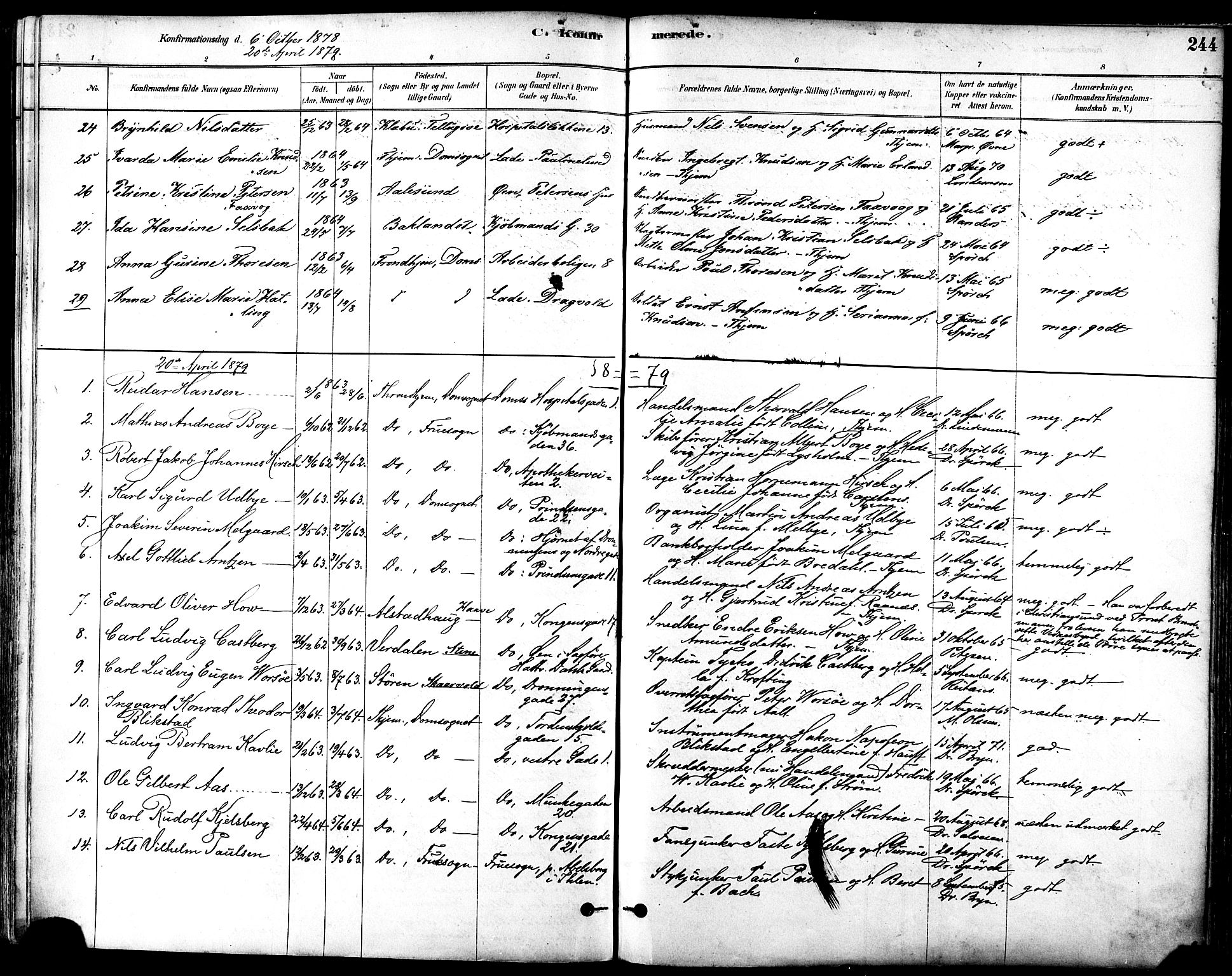 Ministerialprotokoller, klokkerbøker og fødselsregistre - Sør-Trøndelag, SAT/A-1456/601/L0057: Parish register (official) no. 601A25, 1877-1891, p. 244