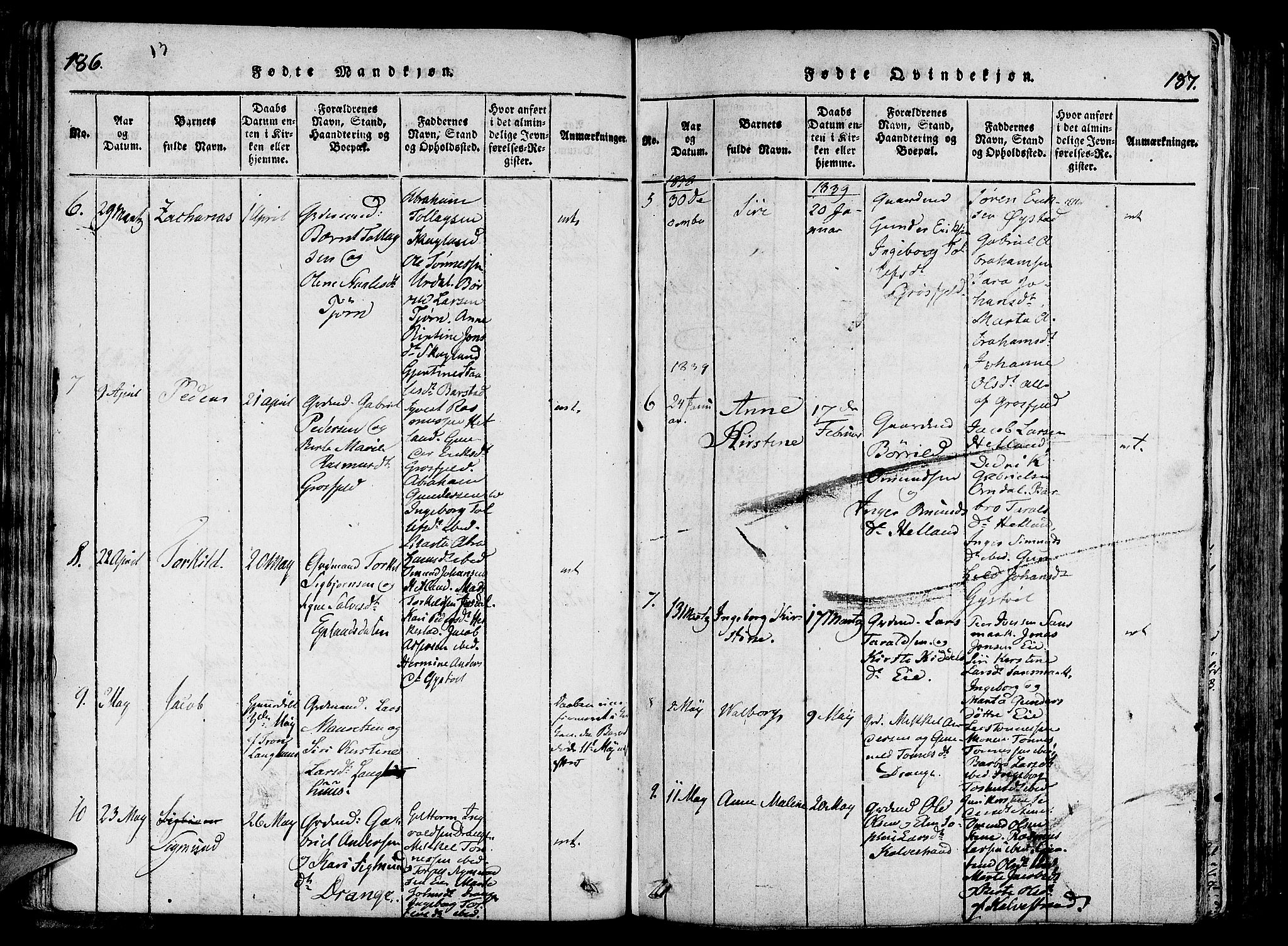 Lund sokneprestkontor, SAST/A-101809/S06/L0006: Parish register (official) no. A 6, 1816-1839, p. 186-187